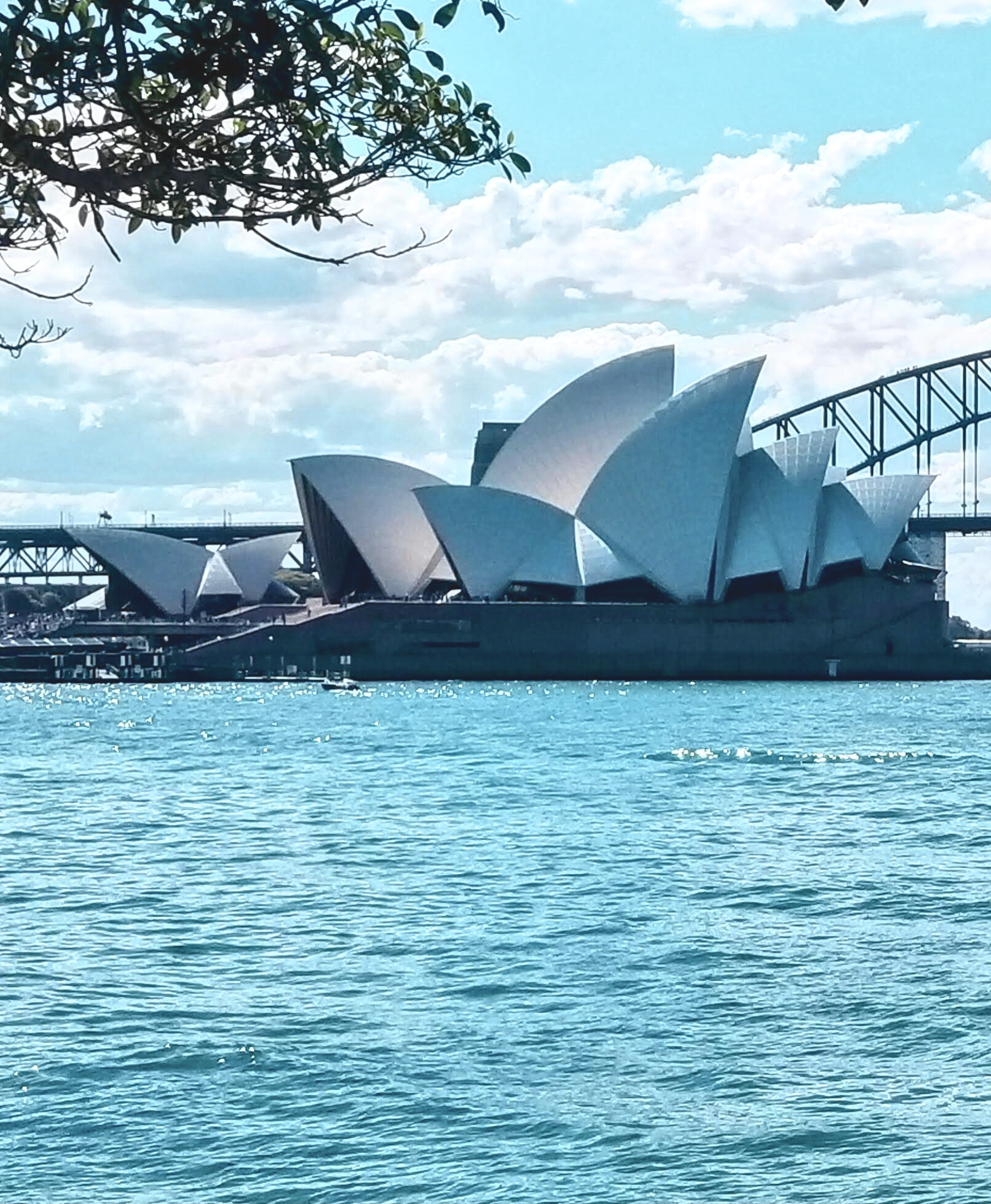 Sydney Unveiled: What To Do in Australia's Most Vibrant City