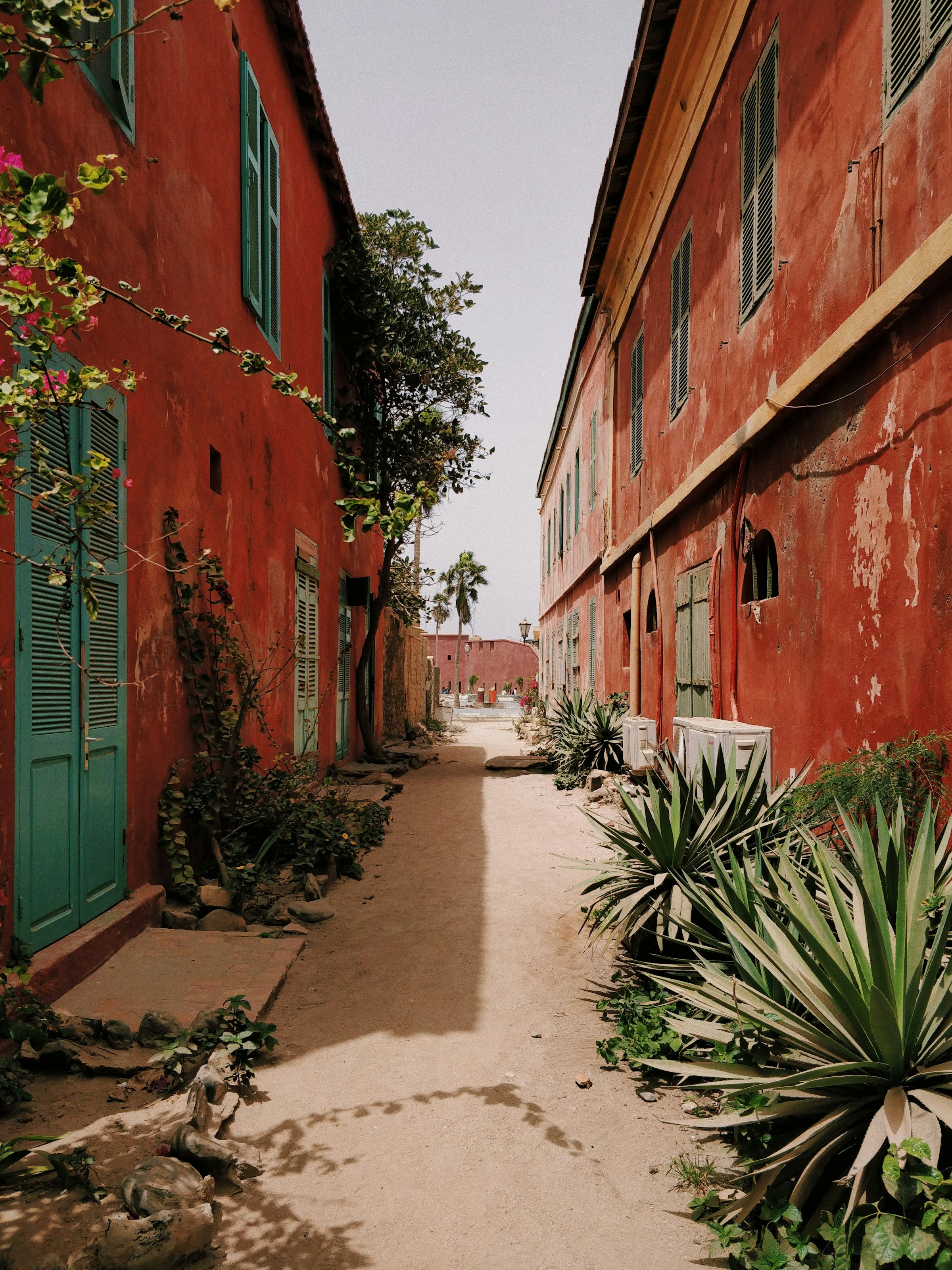 Explore Senegal: Culture, Nature and Adventure Across West Africa
