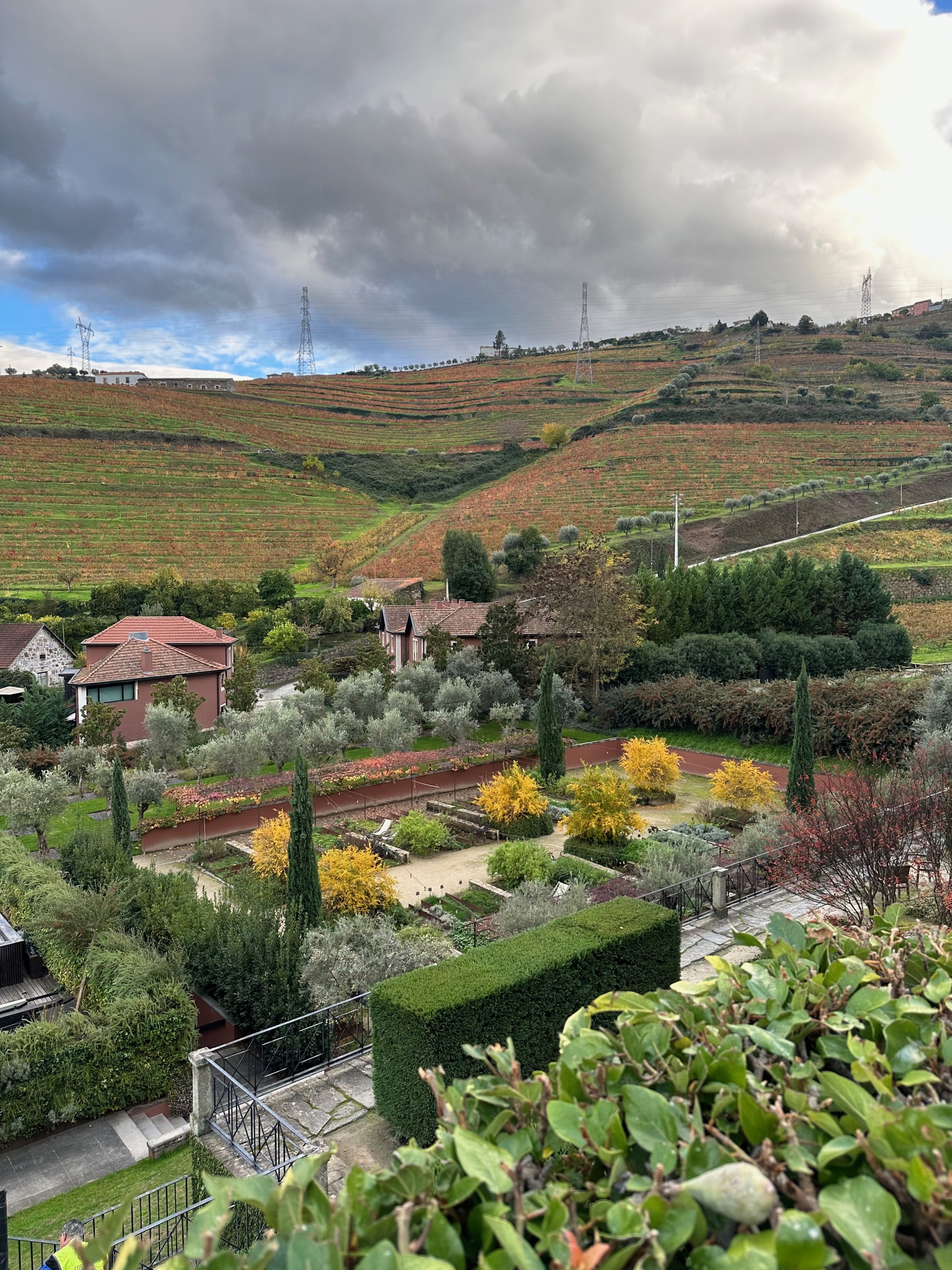 Hotel Review: Six Senses Douro Valley