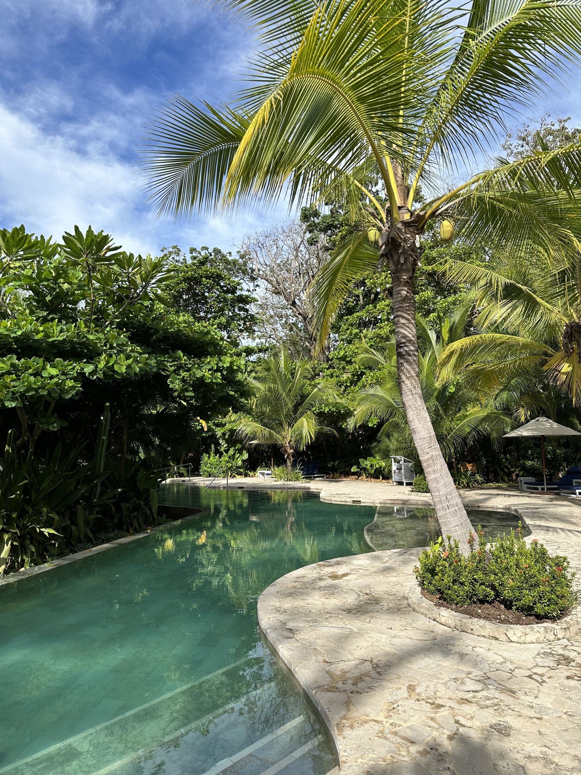 Site Inspection at Nantipa in Santa Teresa, Costa Rica