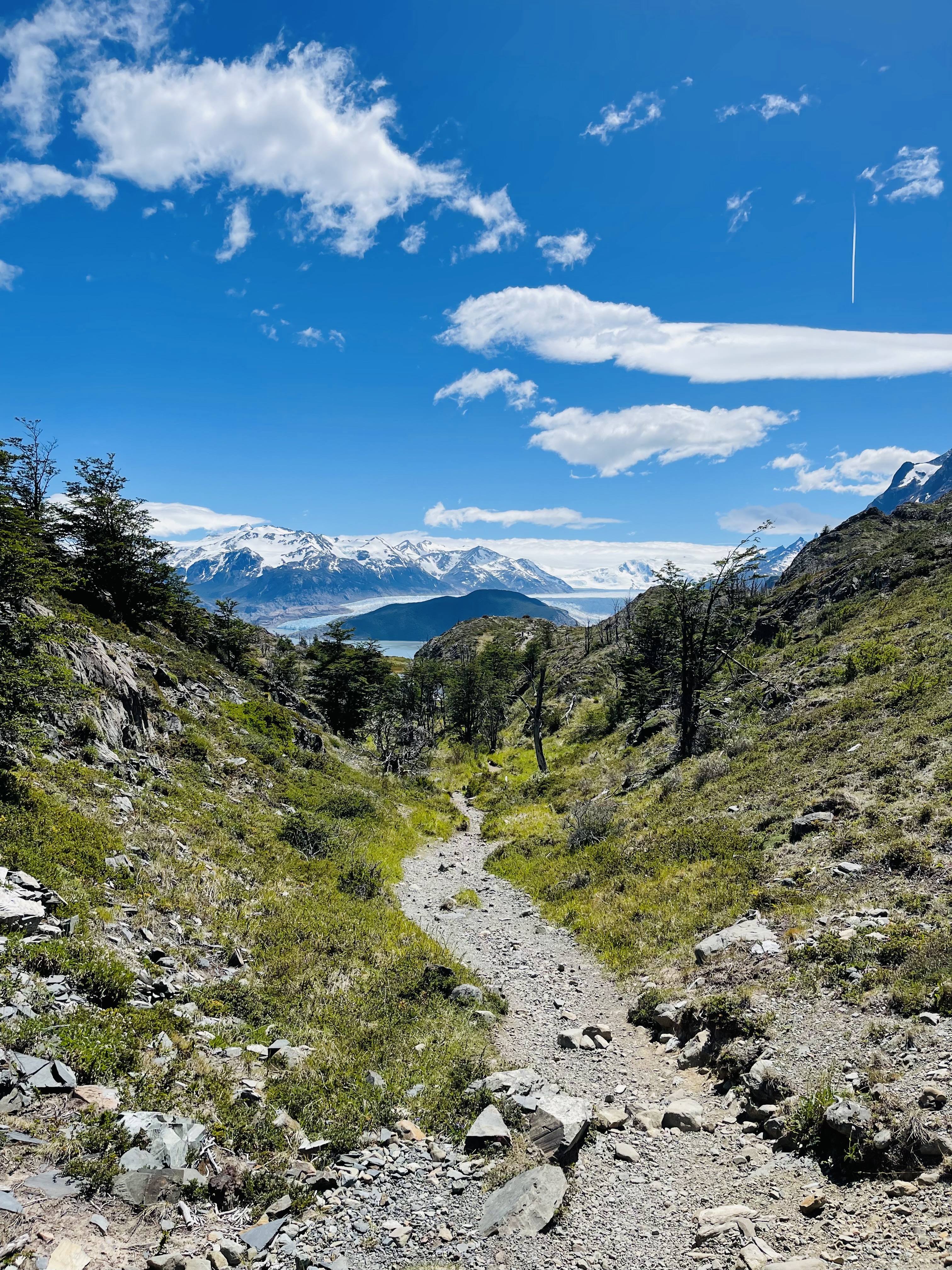 Wild Patagonia: Fire and Ice – School for Field Studies, image size:3024x4032