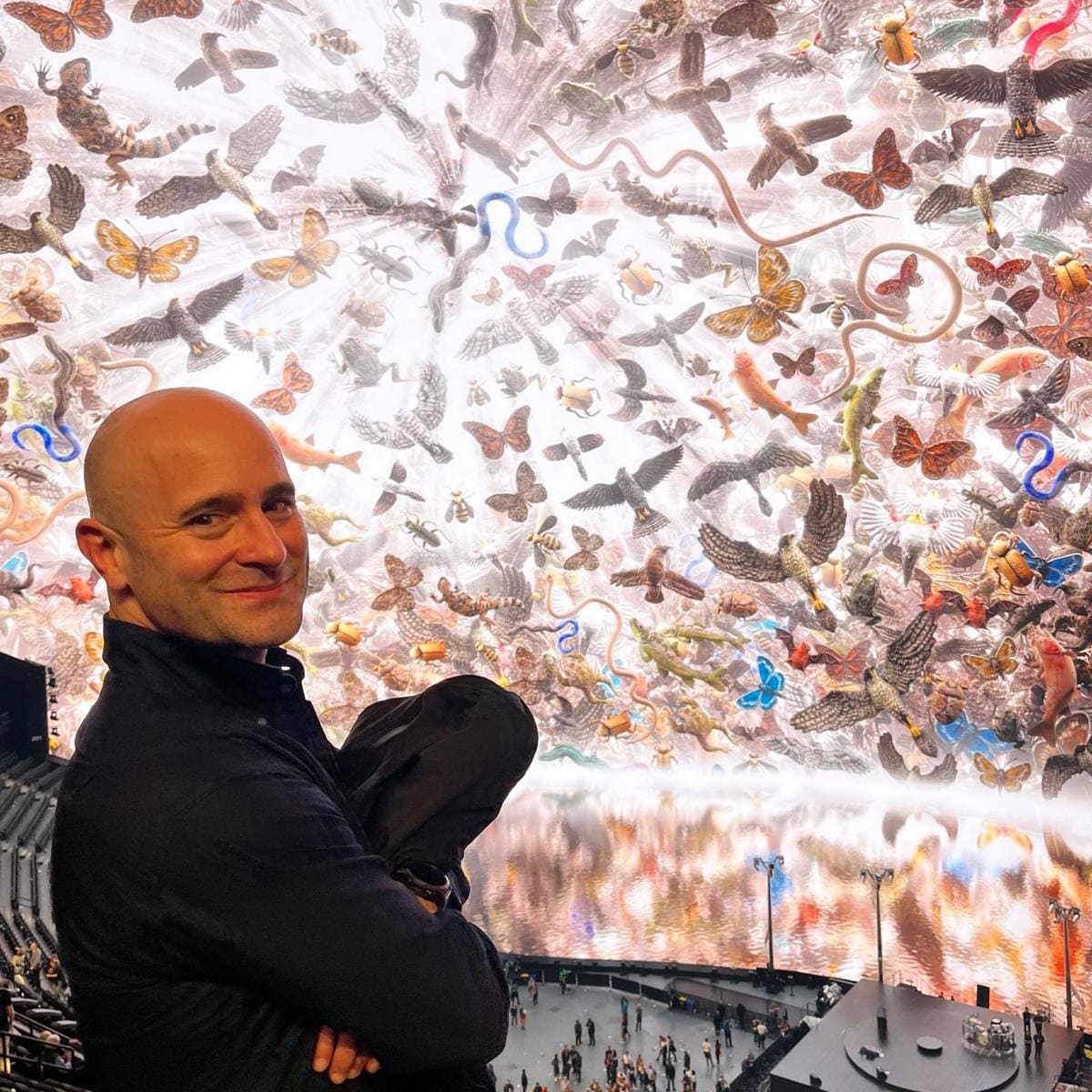 Advisor - Ryan Romito