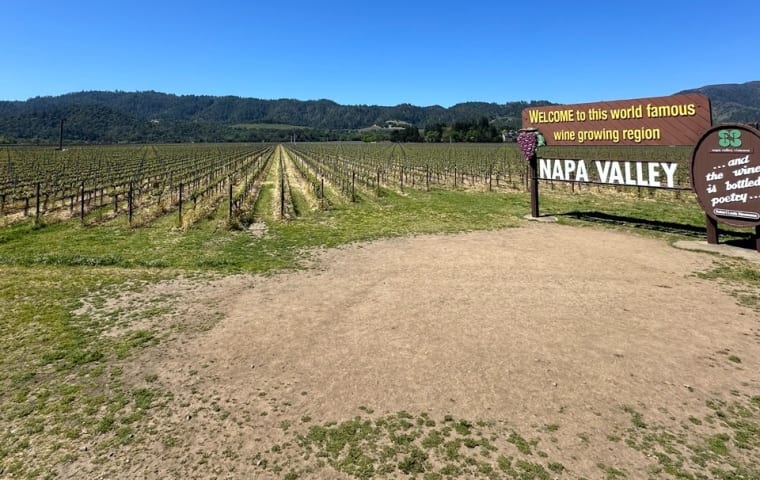 Napa Valley vineyard
