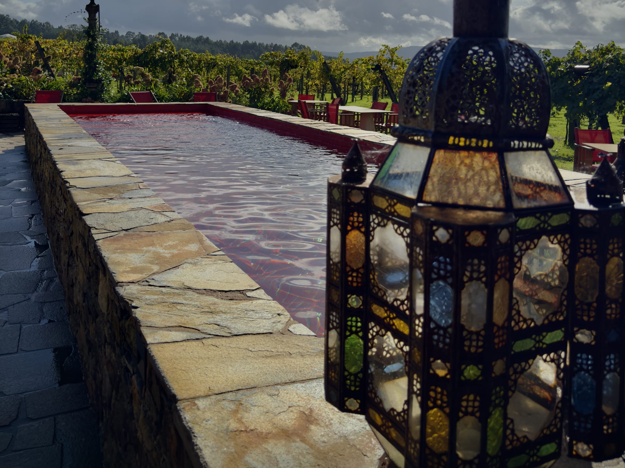 Relax at the Vineyard Pool at Casa Beatnik.