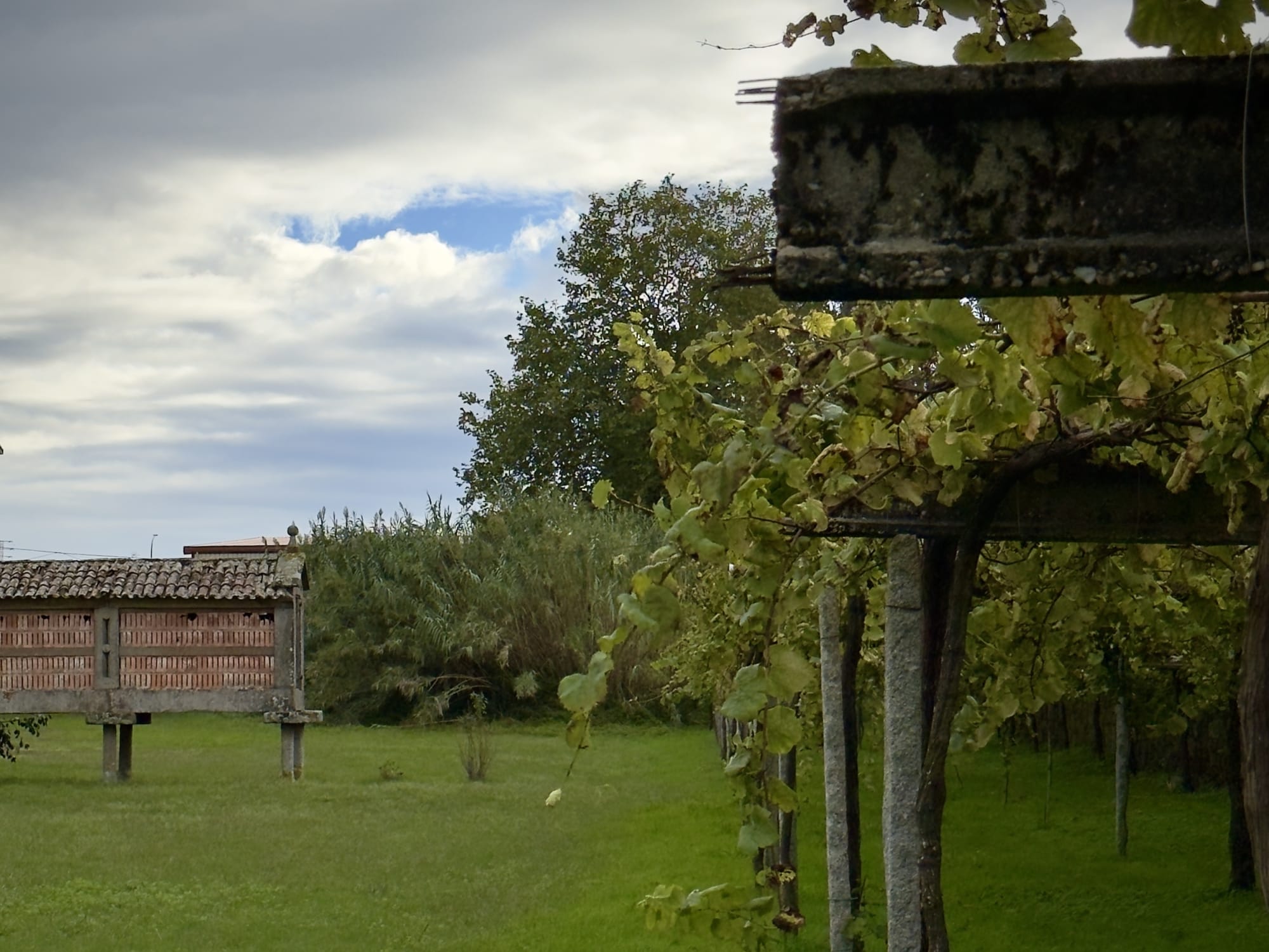 Bodegas del Palacio de Fefiñanes in Cambados, Galicia