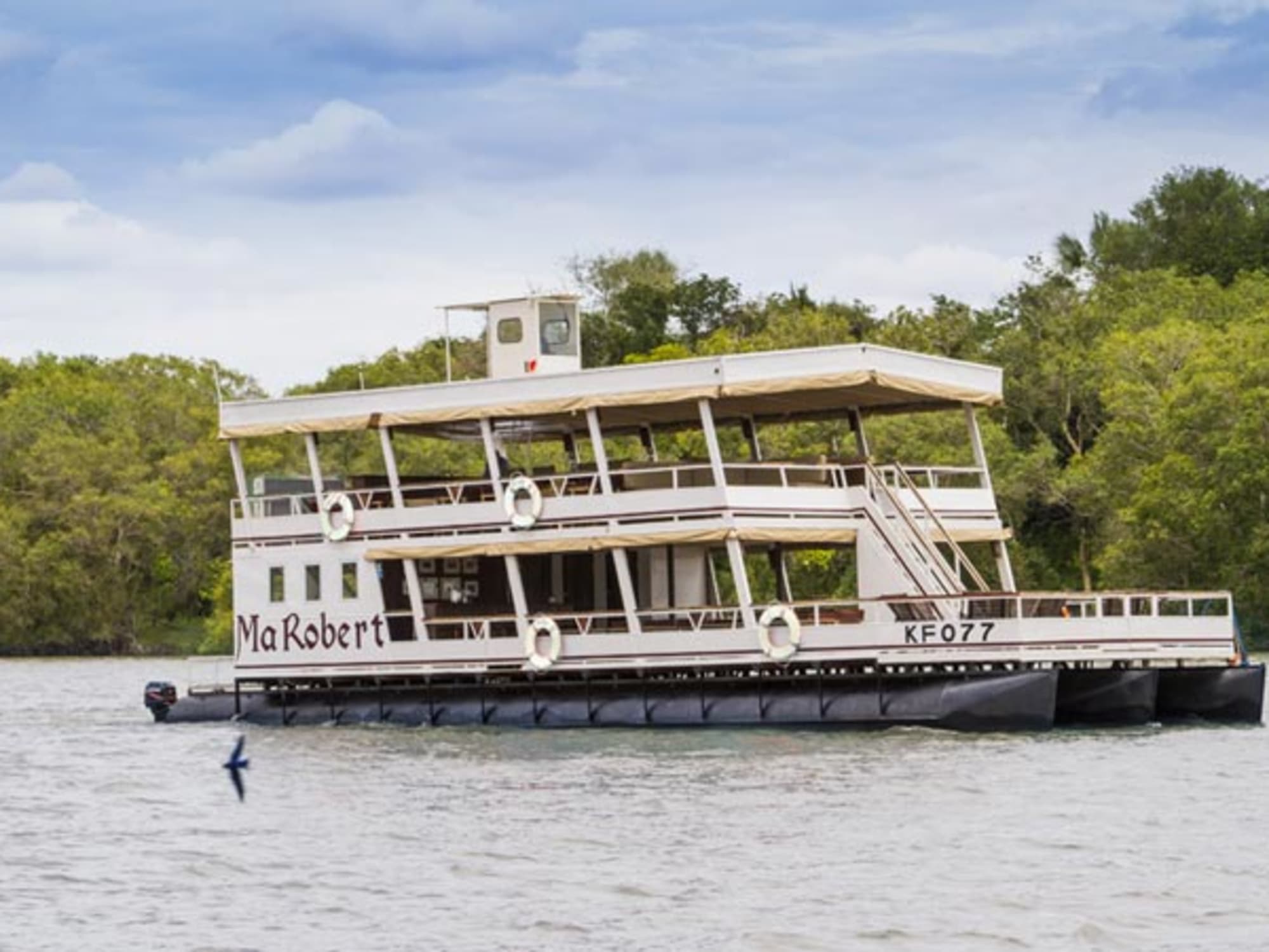 Zambezi River cruise