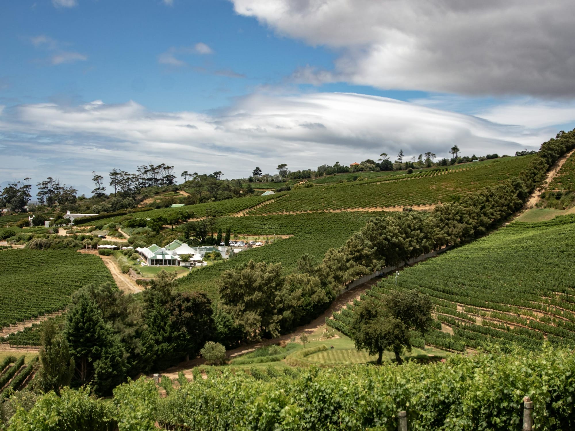 Cape Winelands