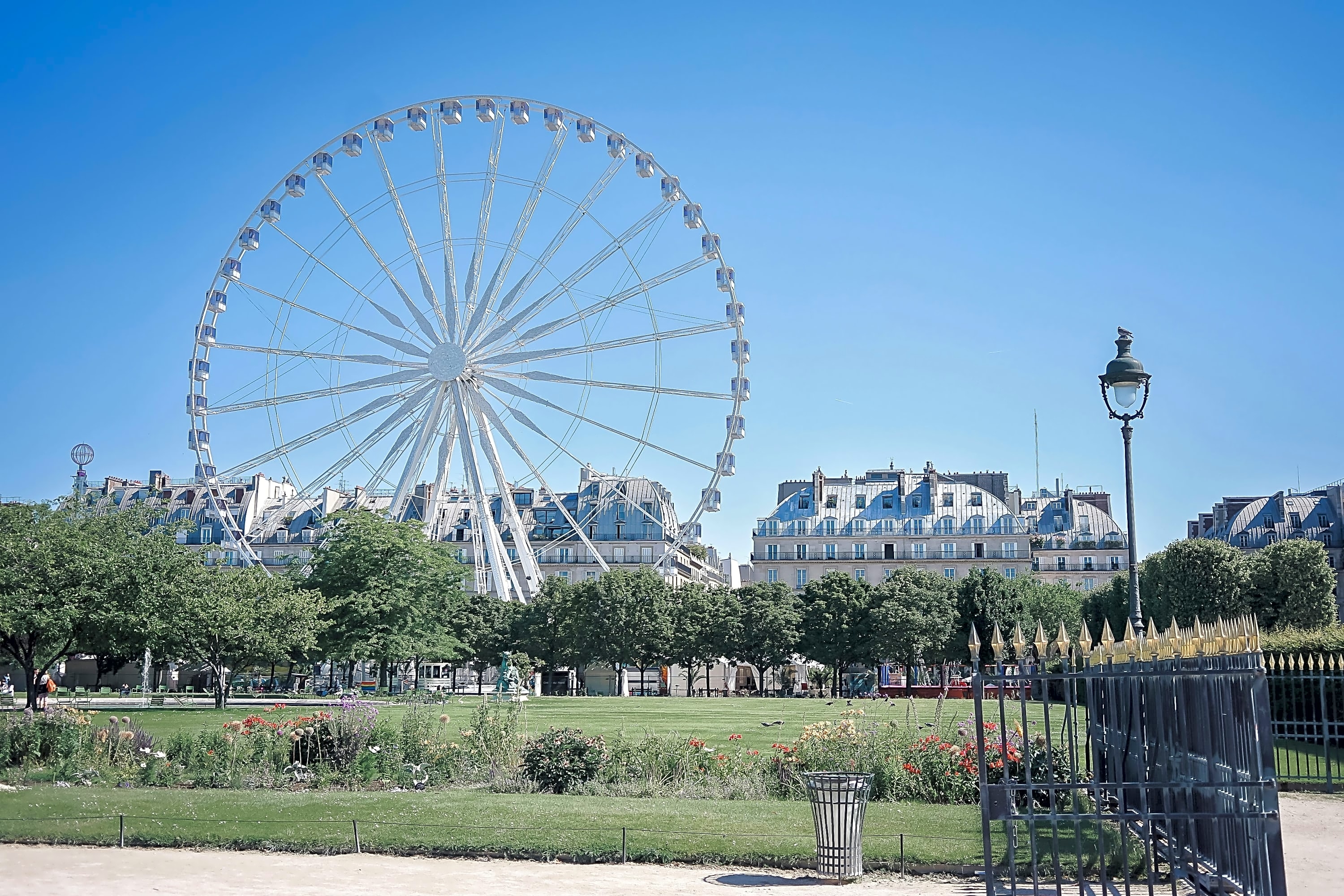 A massive Ferris wheel rises up behind a tree line in a public park