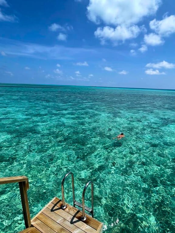 Swimming in the clear water of the sea