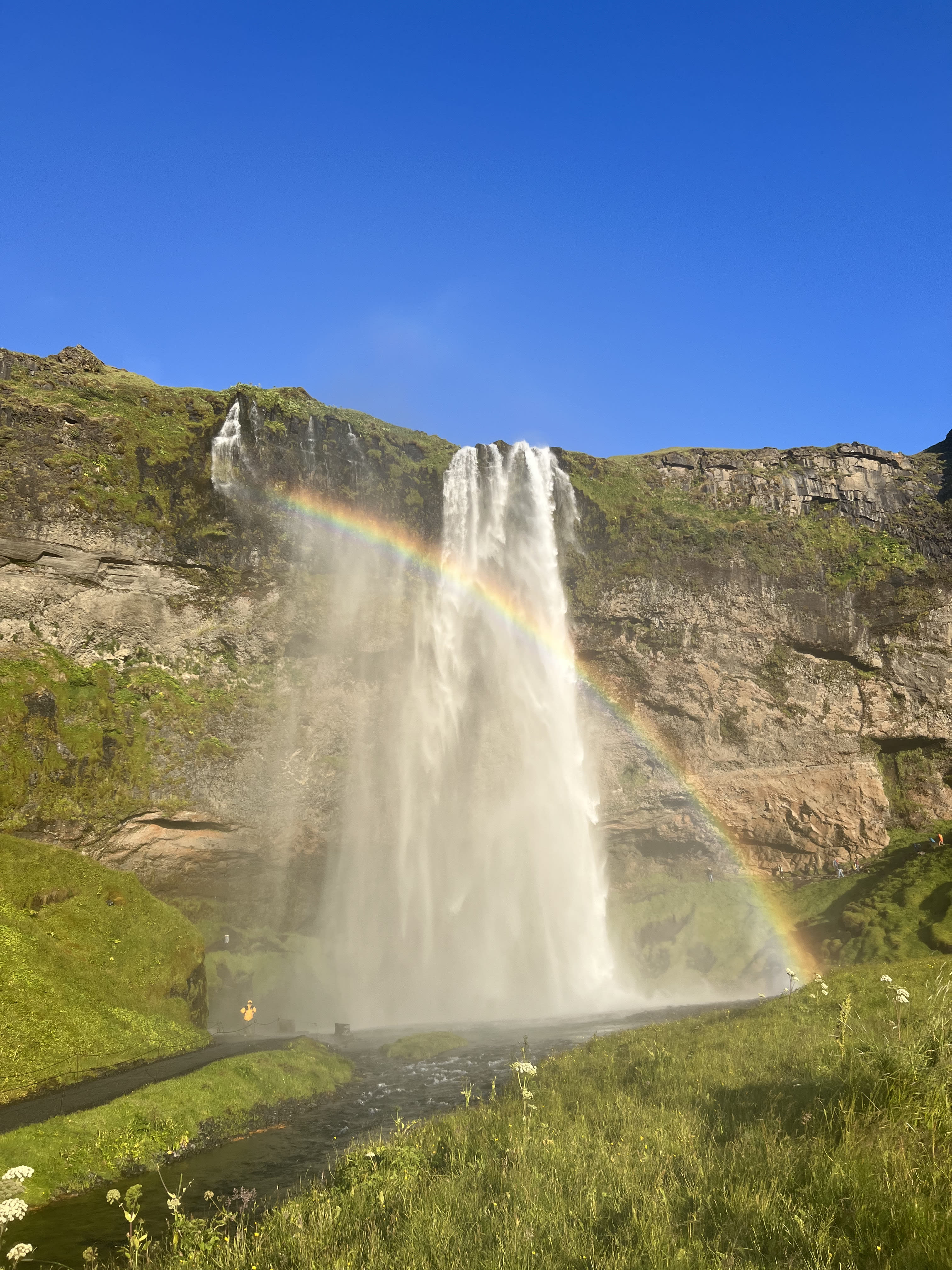 Beautiful view of a rainbow in front of a waterfall with a meadow at the foot of it.