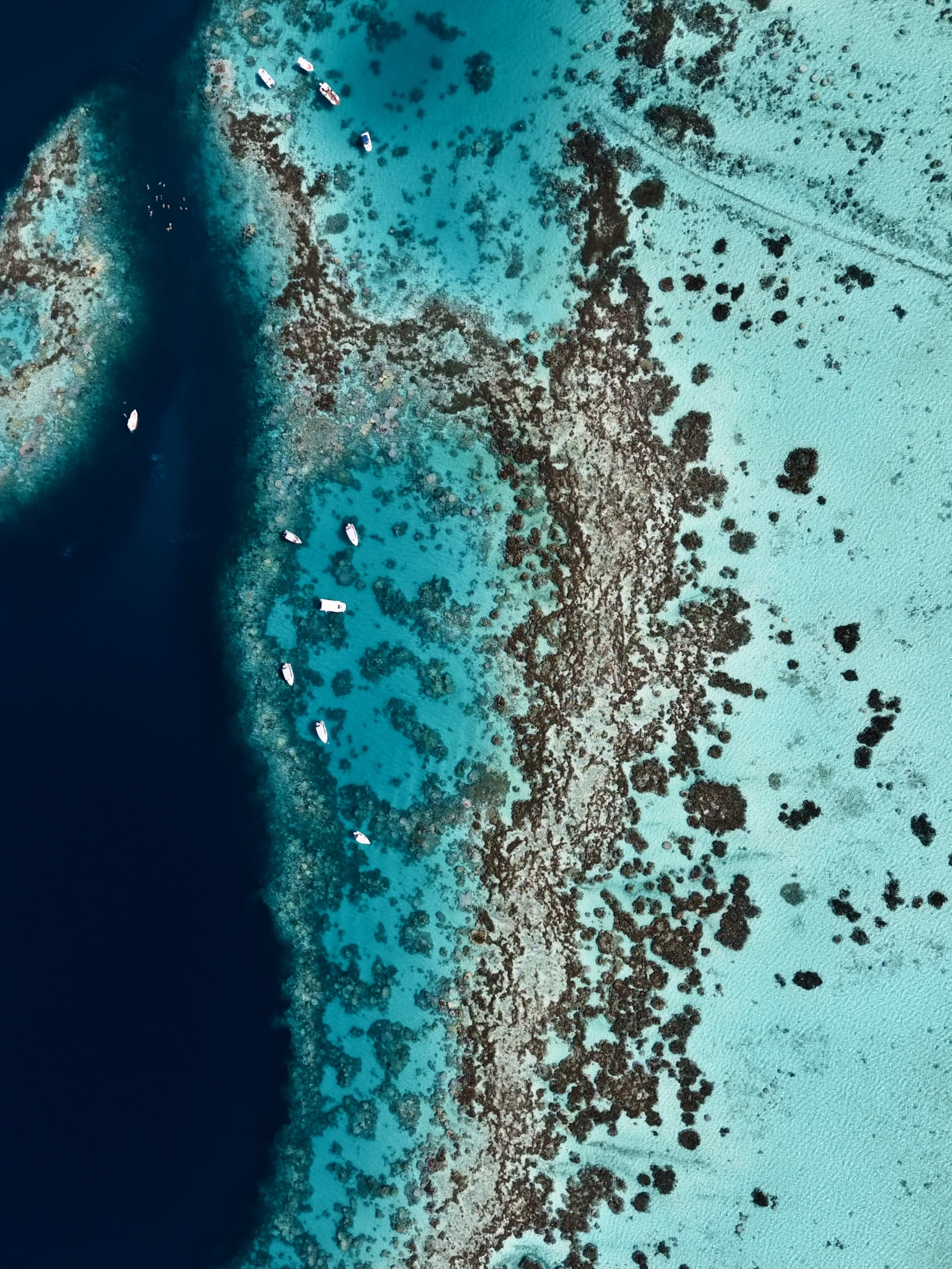 Aerial view of sea