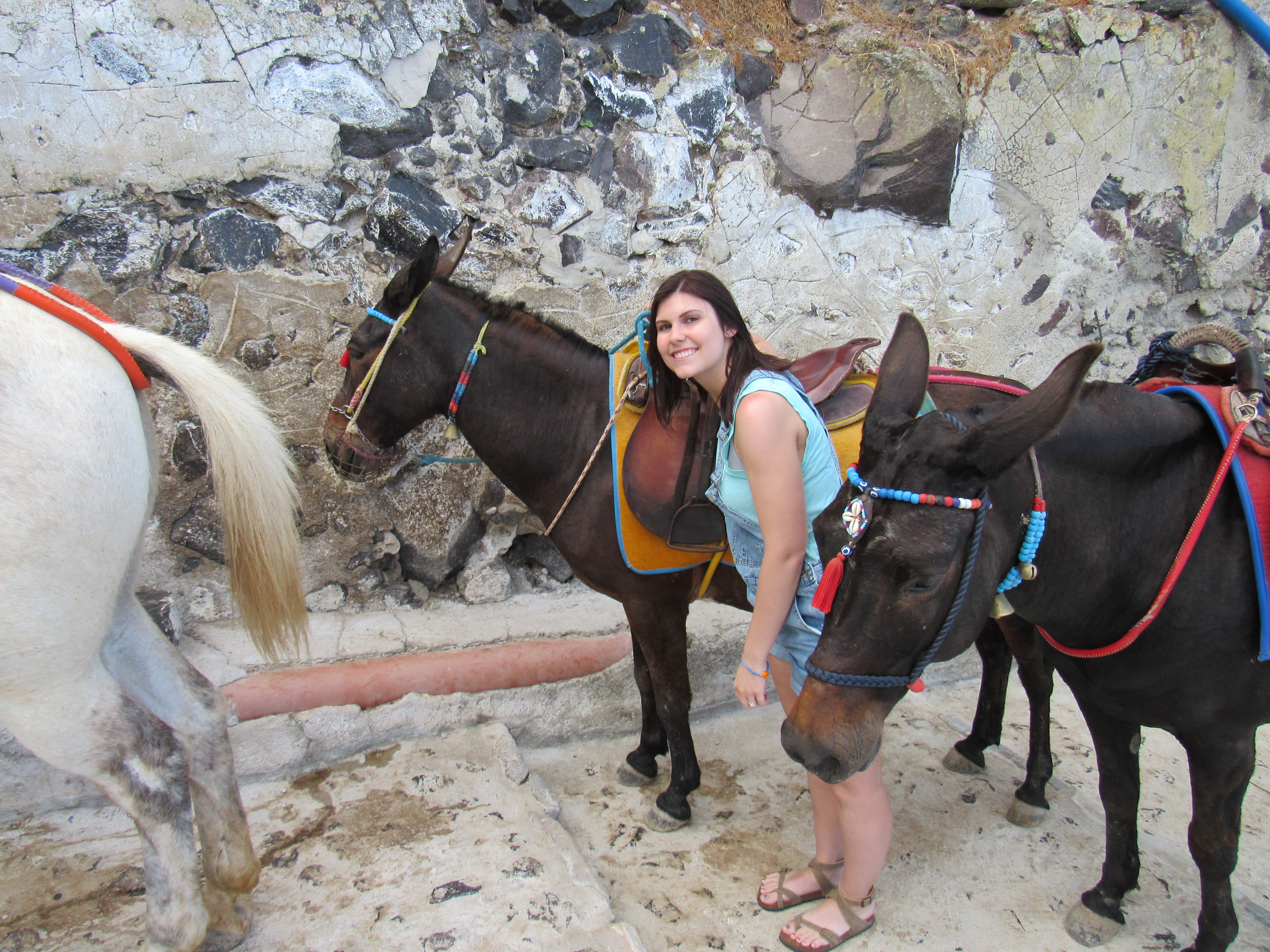 Advisor - Josie Egbert