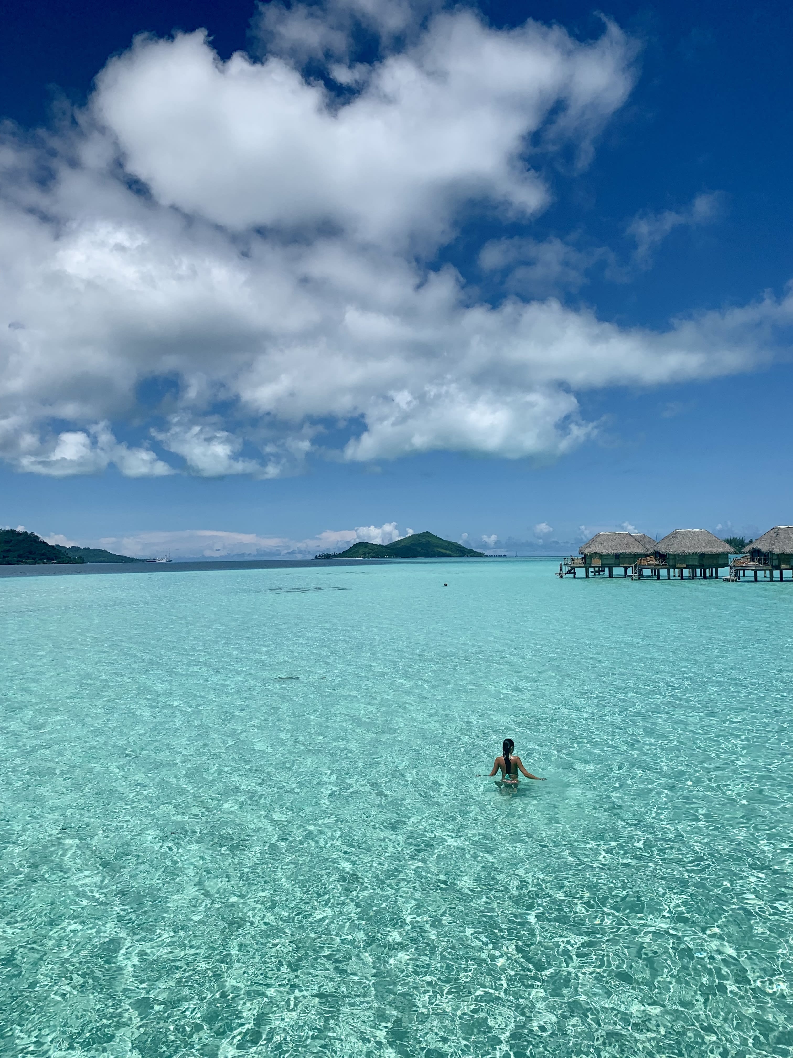 Swimming in the clear blue water of the sea