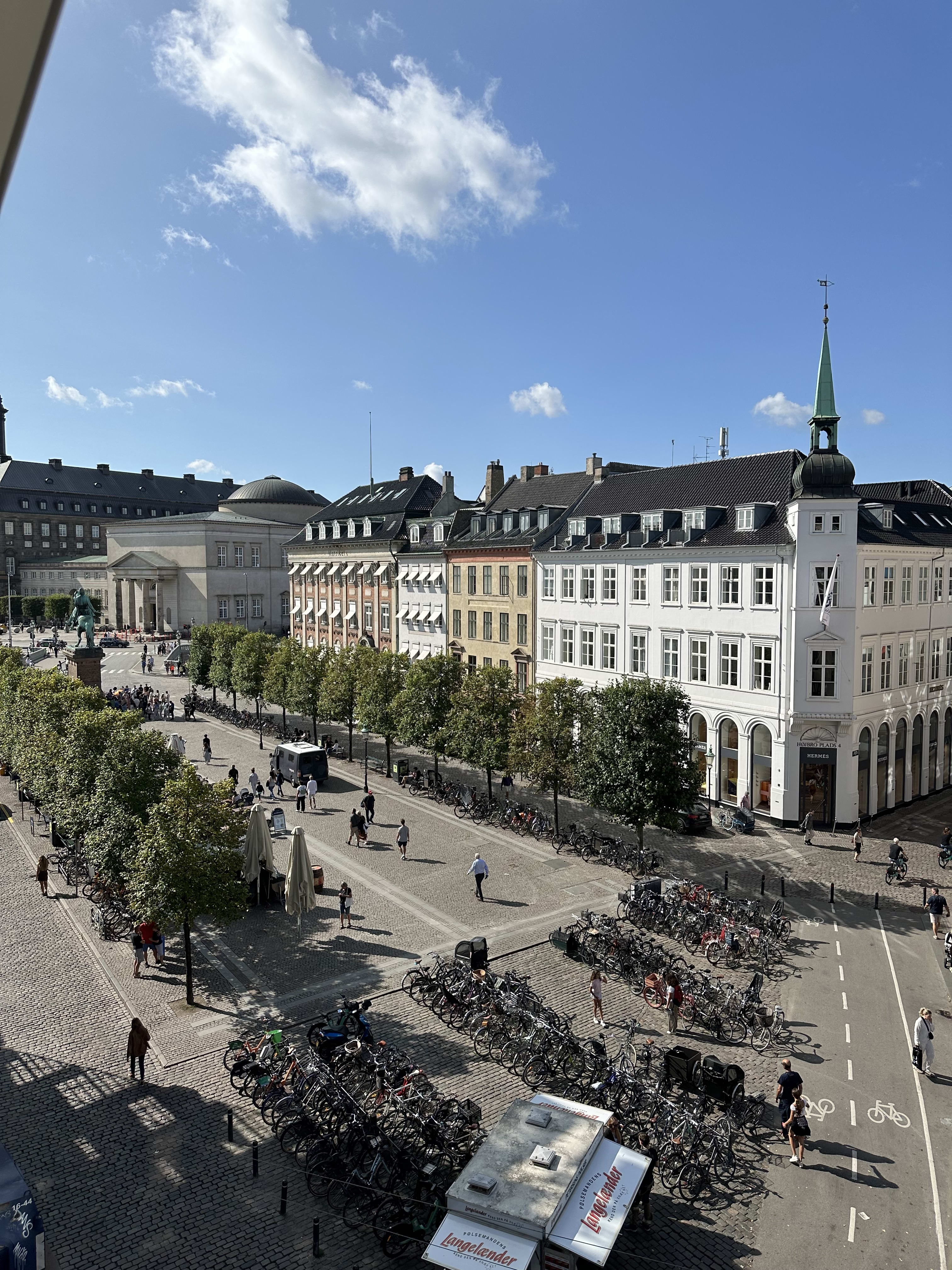 Beautiful view of a tree-lined street and buildings in Copenhagen, Denmark on a clear day