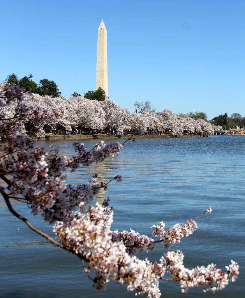 washington monument