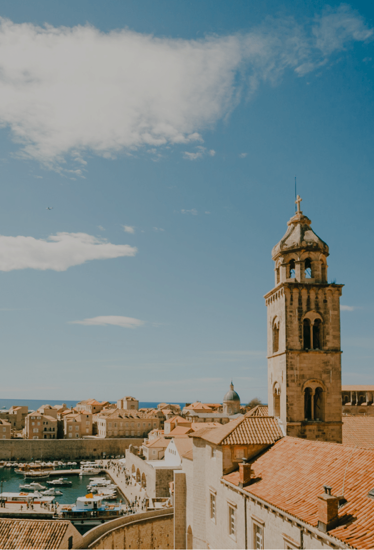 aerial view of tiled rooftops on a sunny day