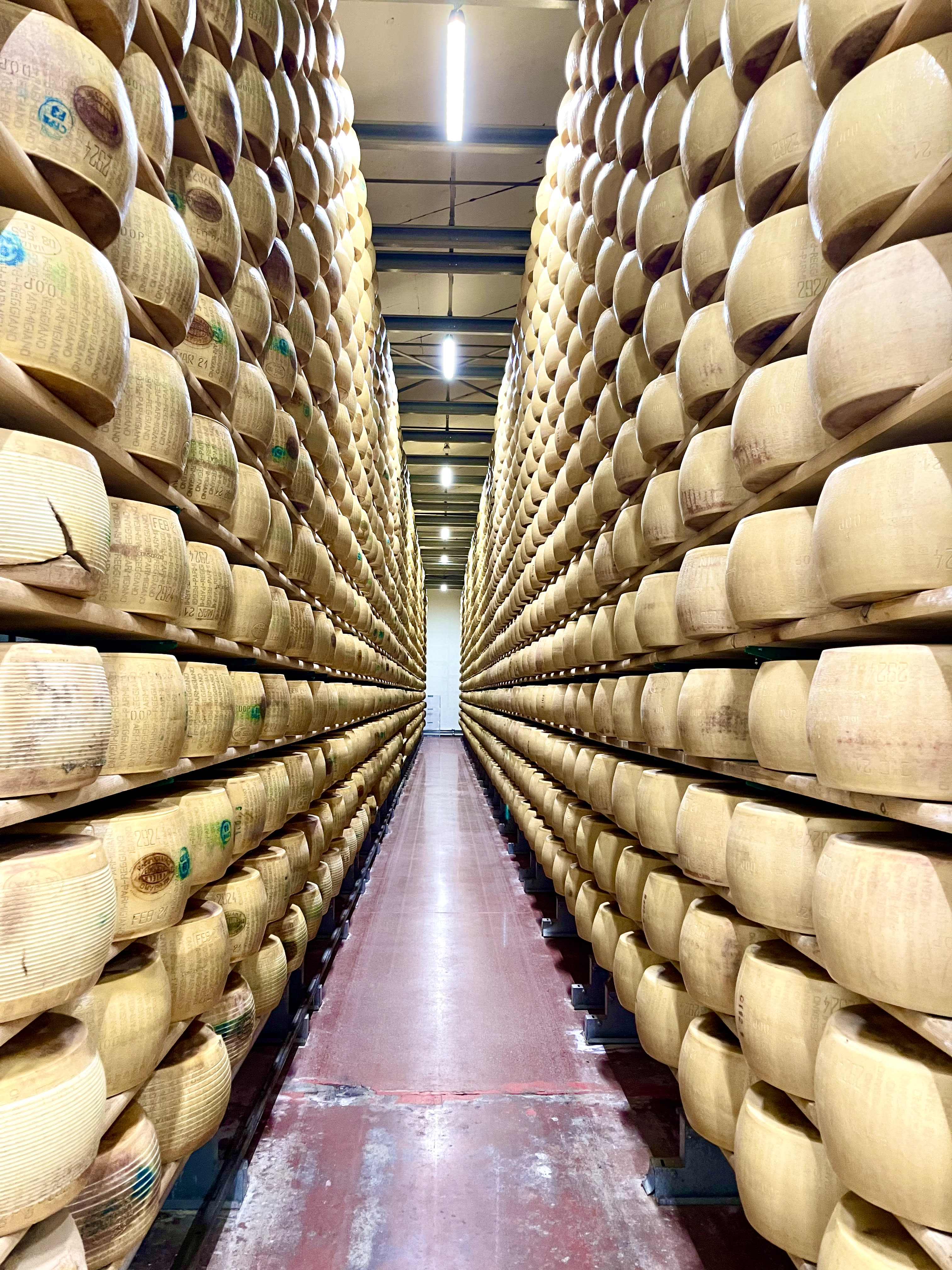 A picture of rows of beige-colored small barrels with a small corridor between.