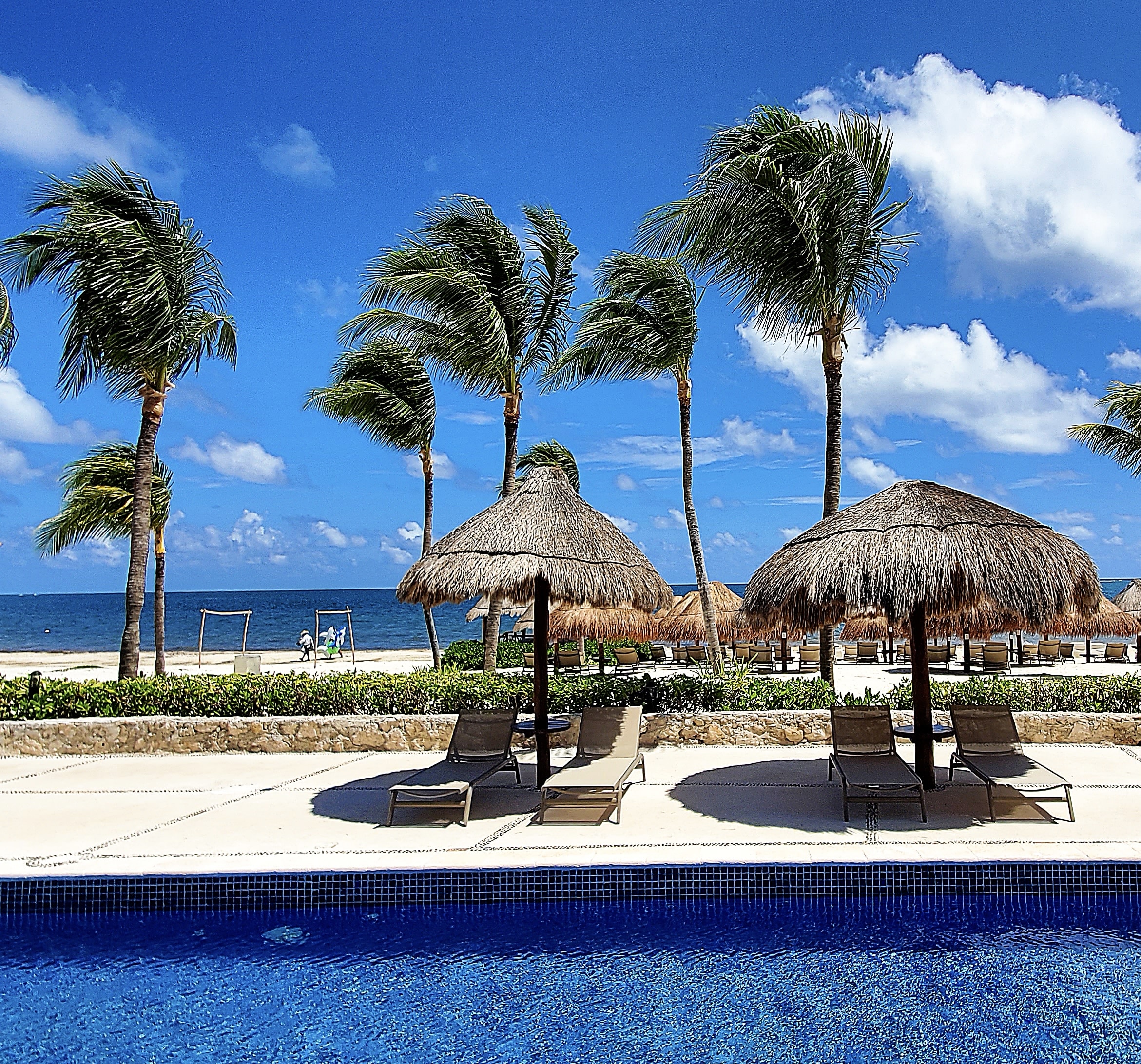 A view of a pool area at a resort with sunloungers and palapa-style umbrellas, next to a beach with swaying palm trees, on a sunny day.