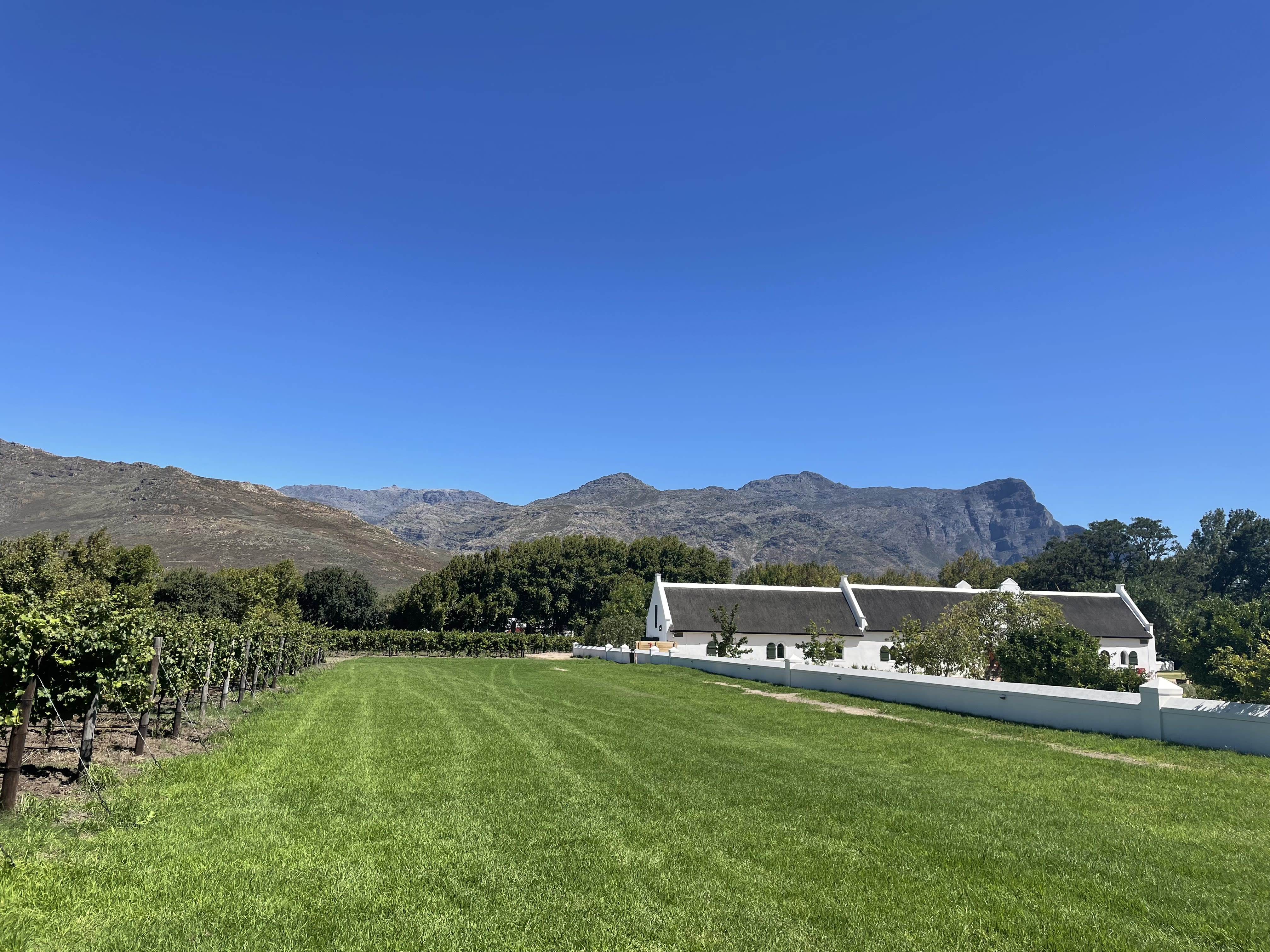 The view walking towards the La Motte Wine Farm tasting room