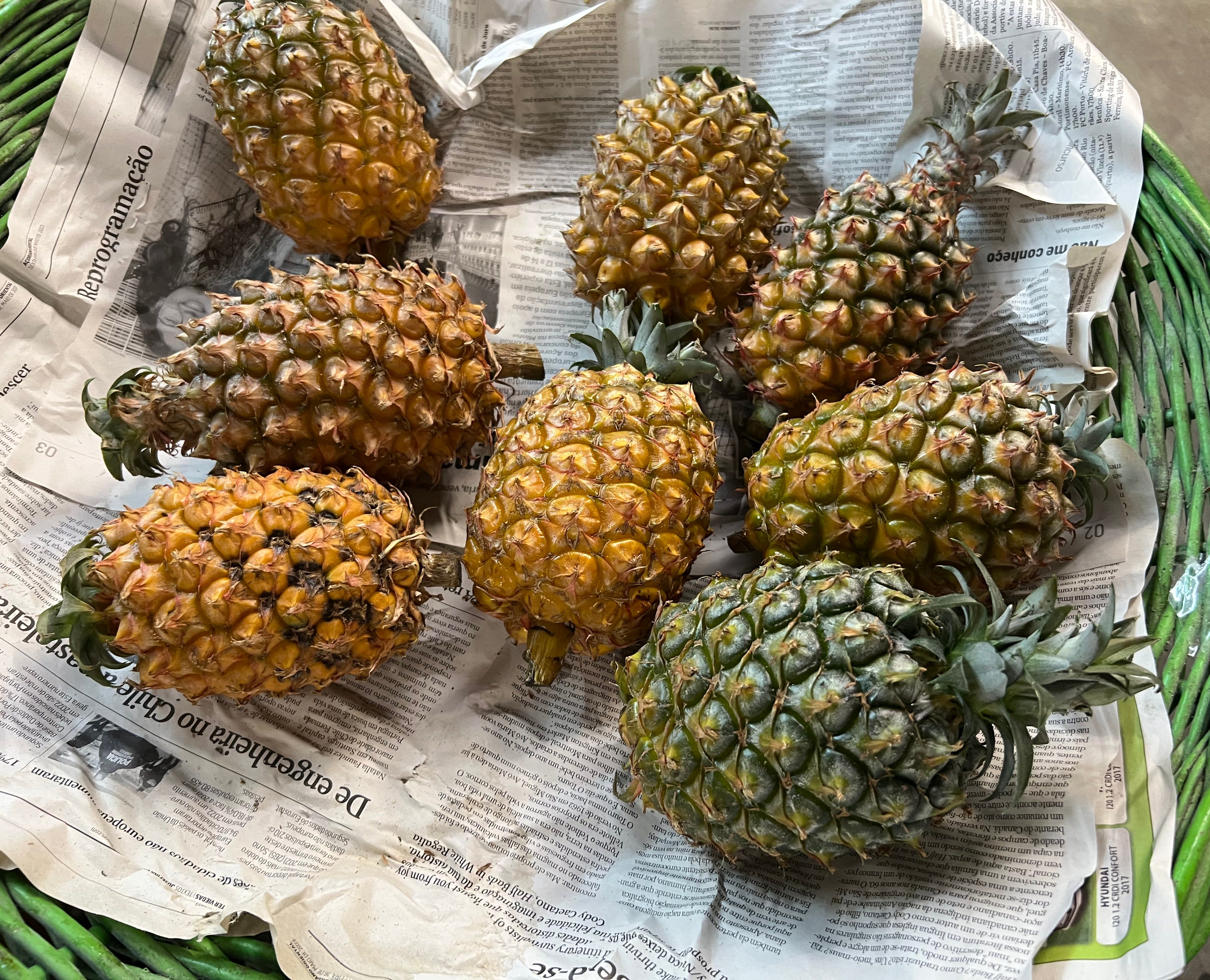 Pineapples in Ponta Delgada