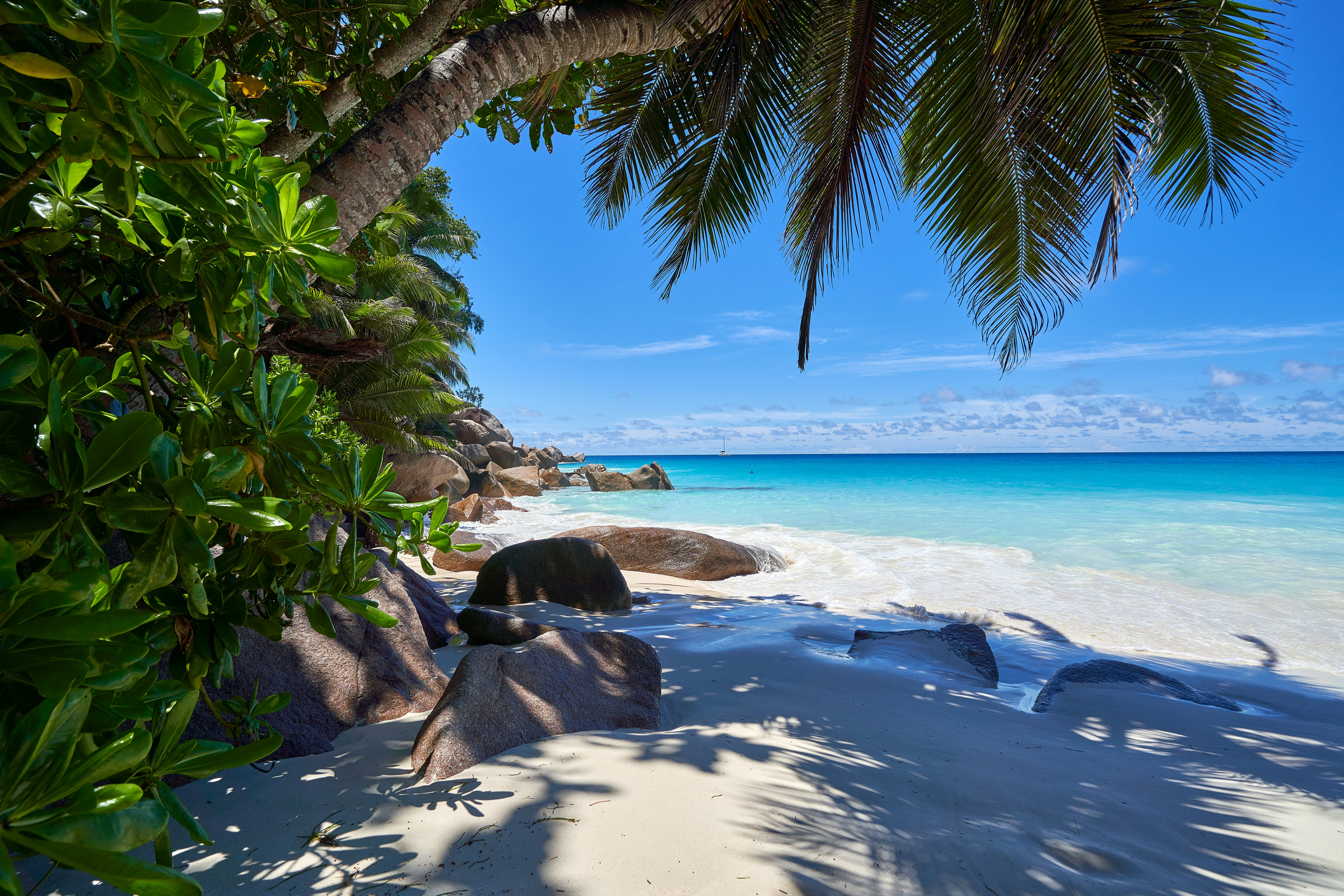 Travel Advisor - Nicole Gray