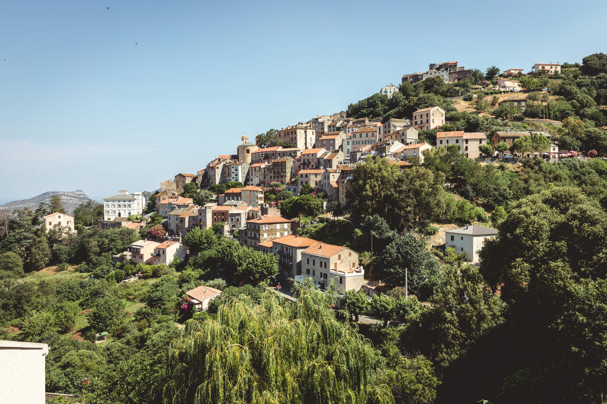 A green tree covered hillside town with old buildings