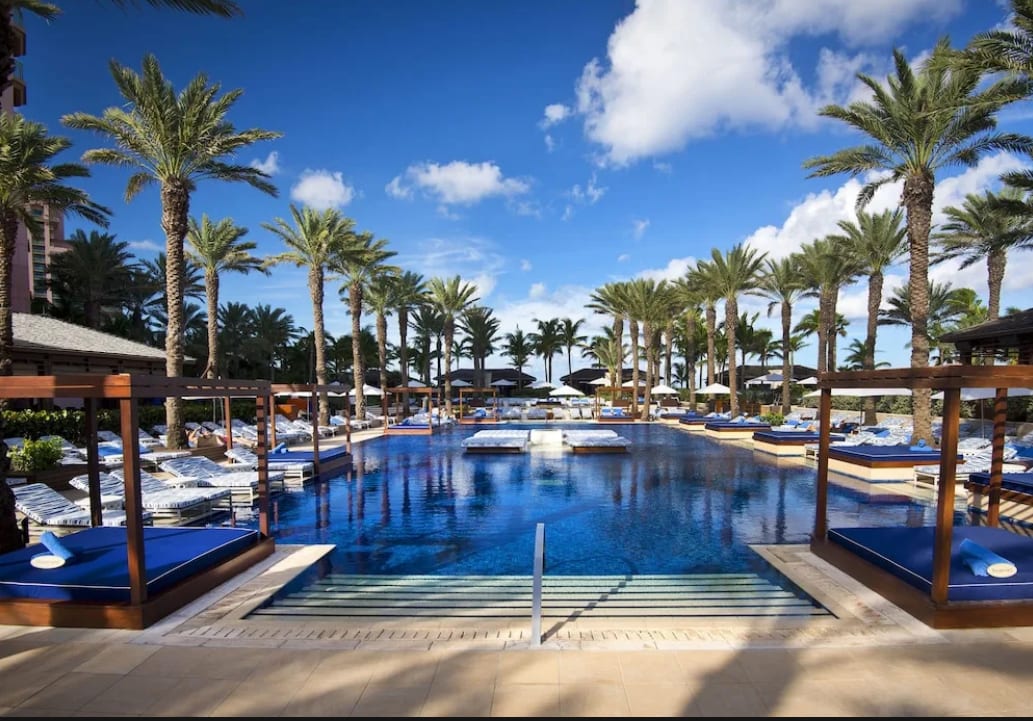 A hotel pool area lined with palm trees and loungers on both sides