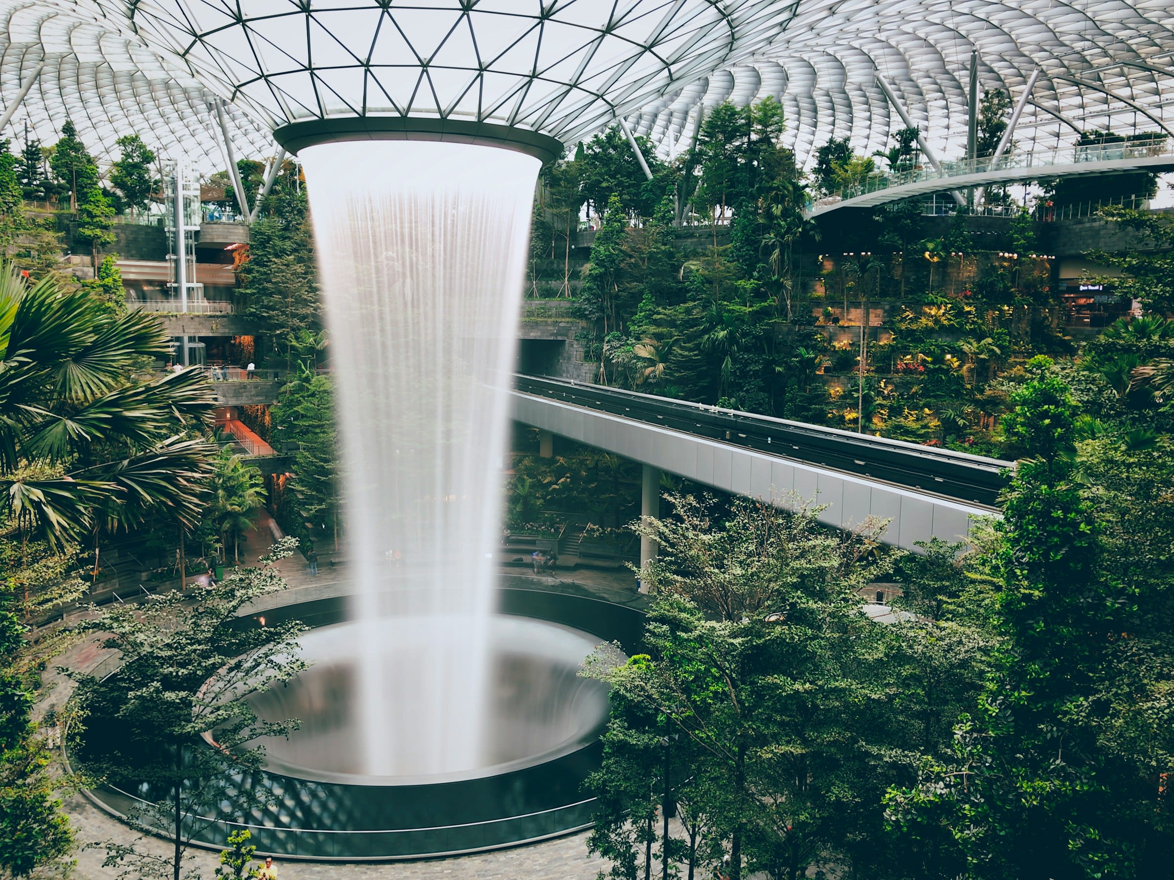 Waterfall cascading from glass rooftop in a massive tree laden indoor space