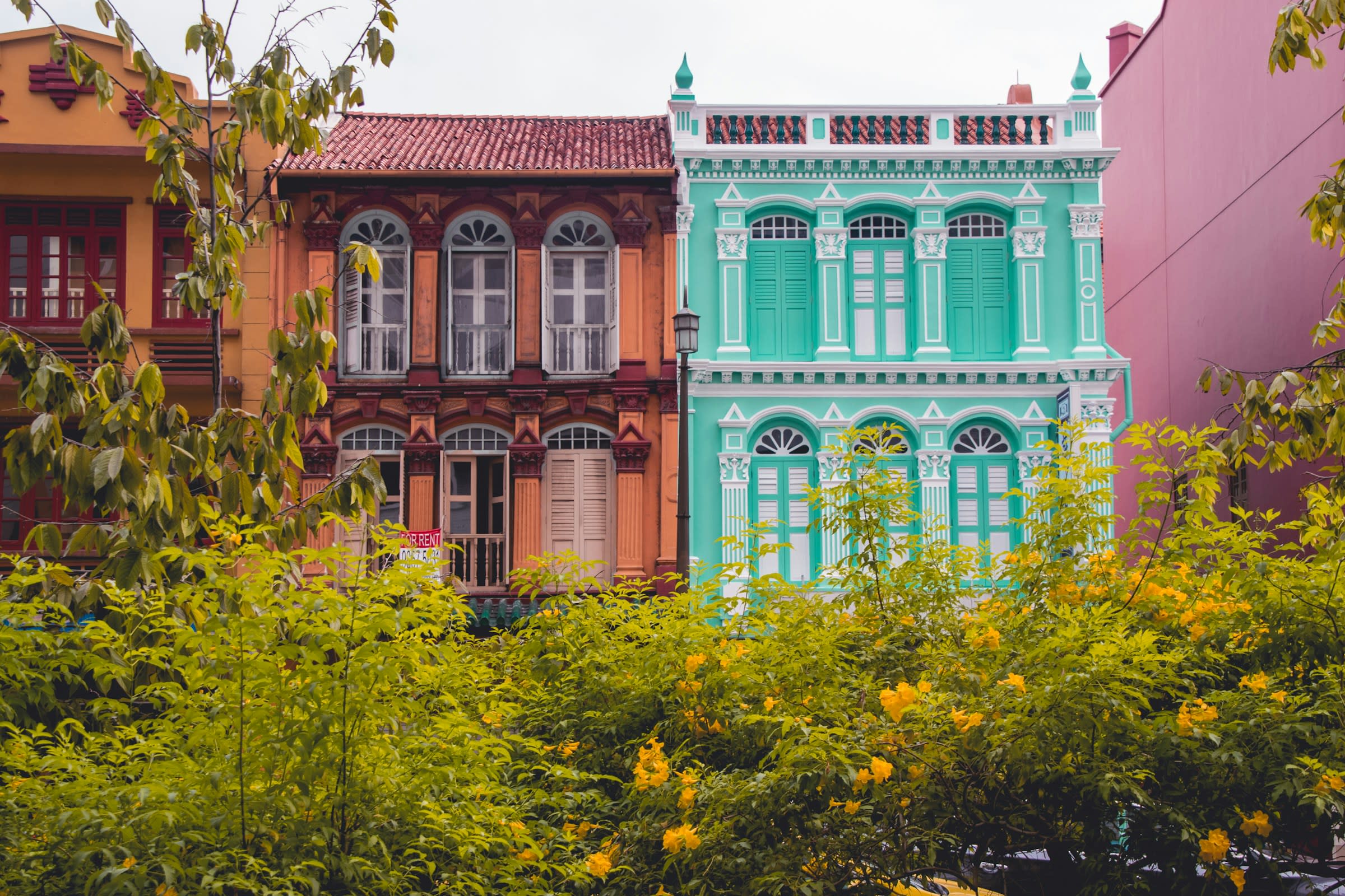 Trees below tall, colorful colonial era buildings in a city