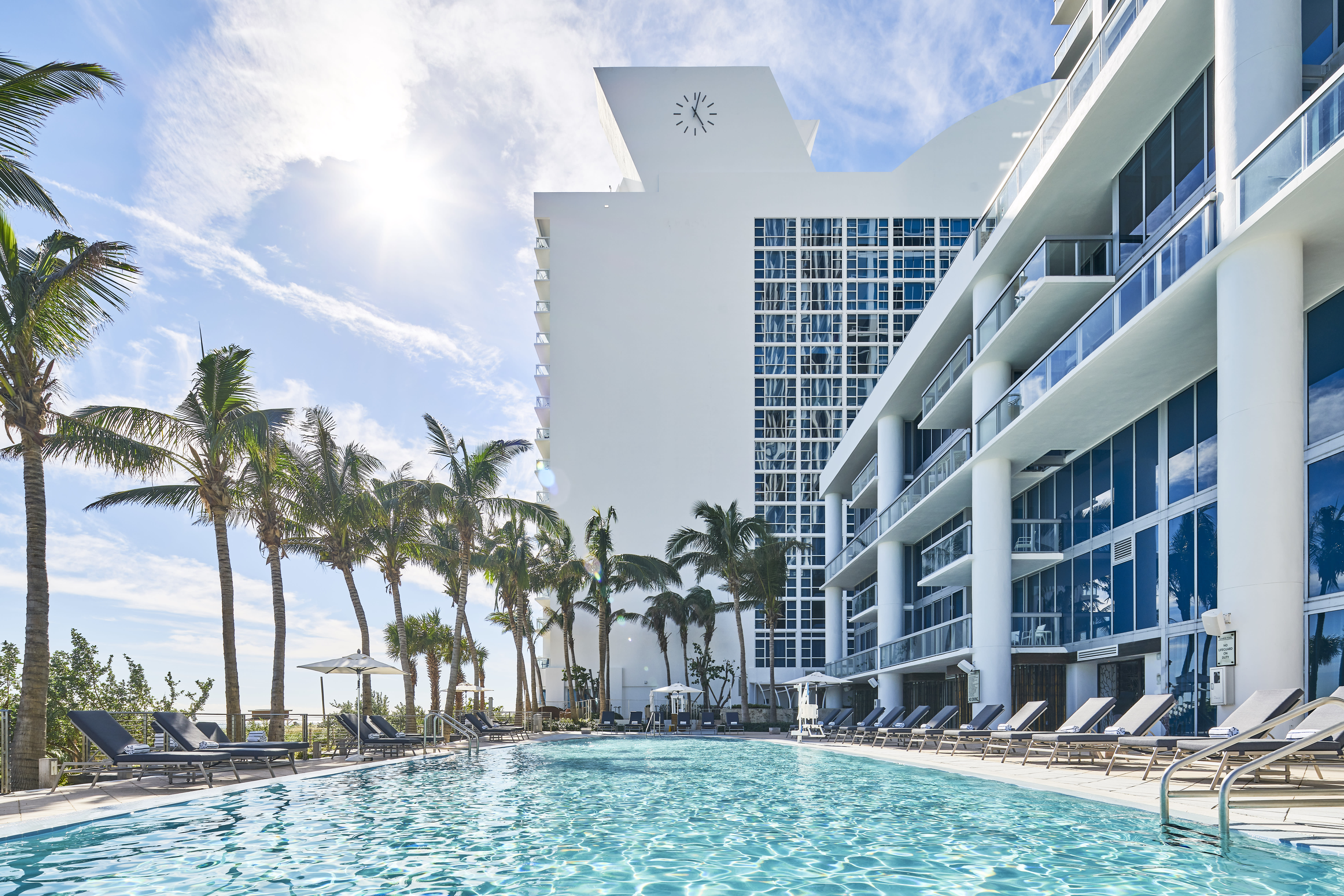 A hotel pool area overlooking Miami Beach with palm trees beside a white modern building