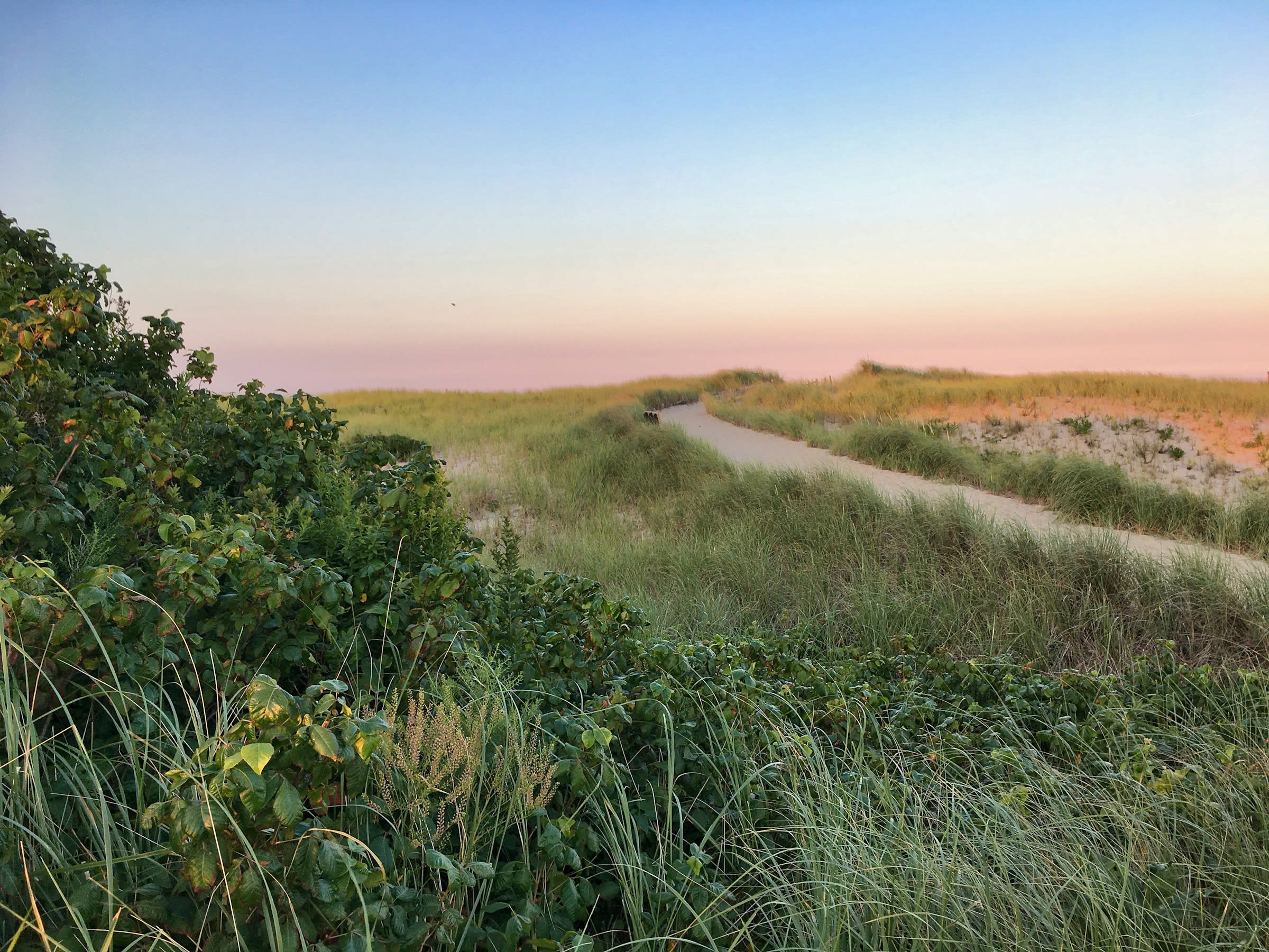 coastal green grass by a bike path in late afternoon