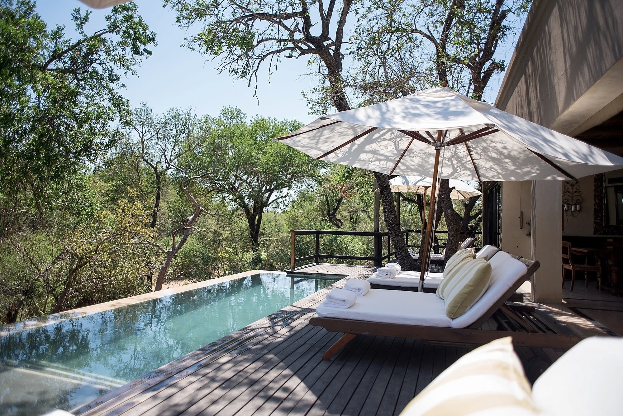 A wooden deck with an infinity pool and white loungers overlooking the African bush