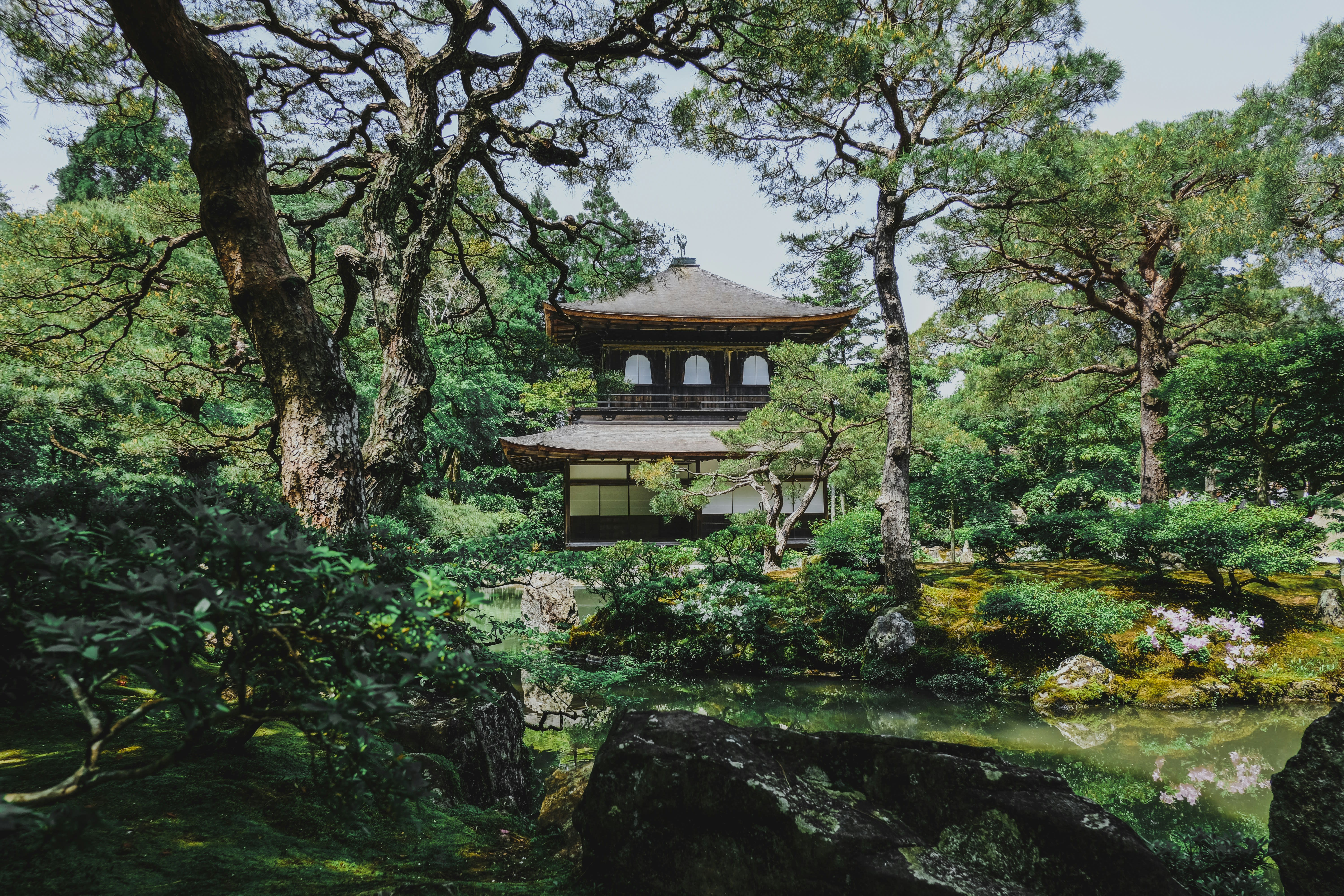 Traditional Japanese temple surrounded by lush greenery and trees, with a reflective pond and moss-covered rocks in the foreground, captured on a bright day.