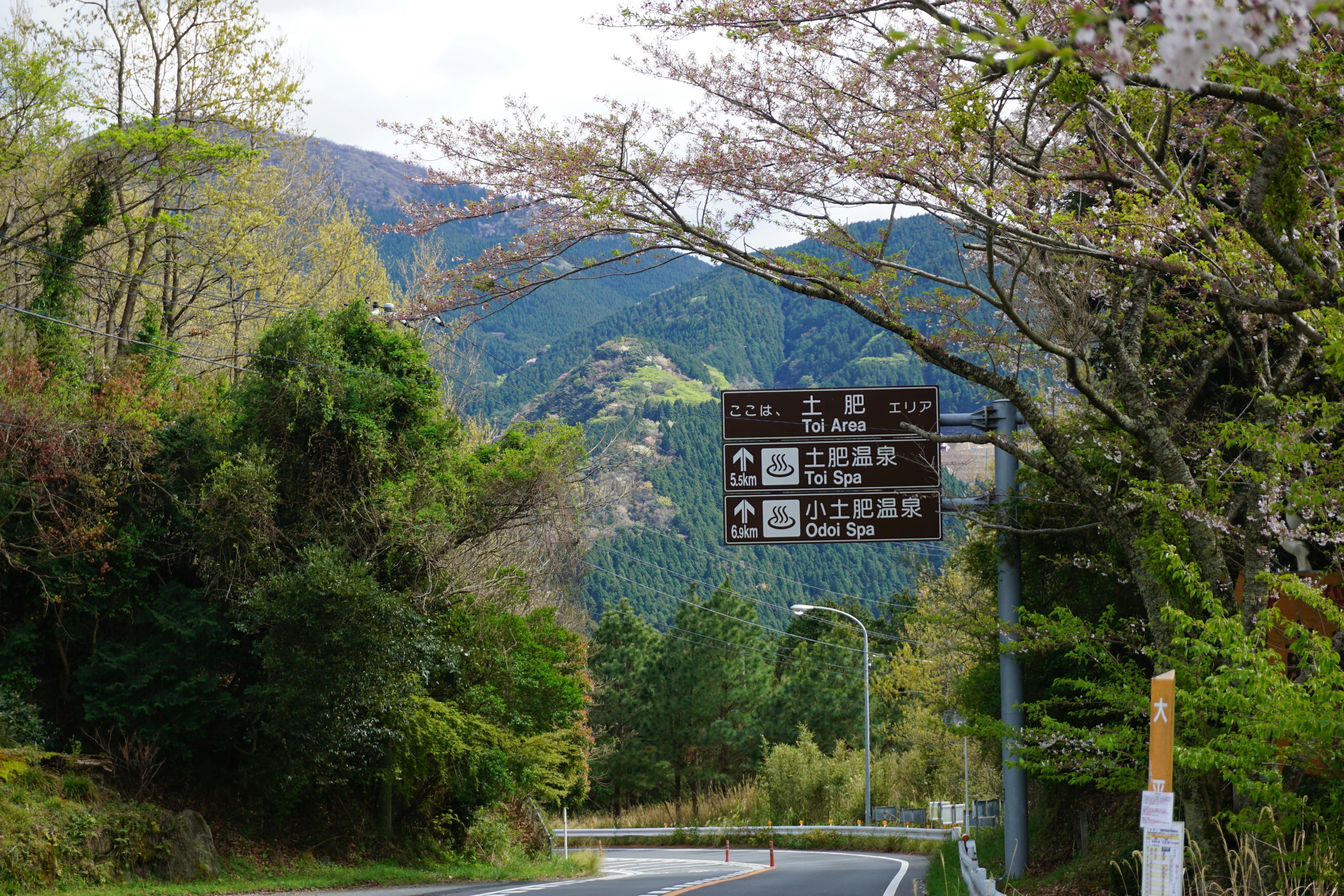 A lush landscape with mountains, trees and signs to spas with Japanese lettering.