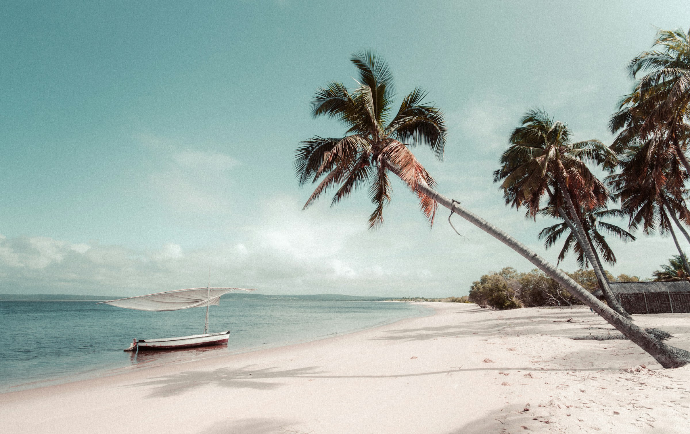 beach beside coconut palm tree and boat in the water during day
