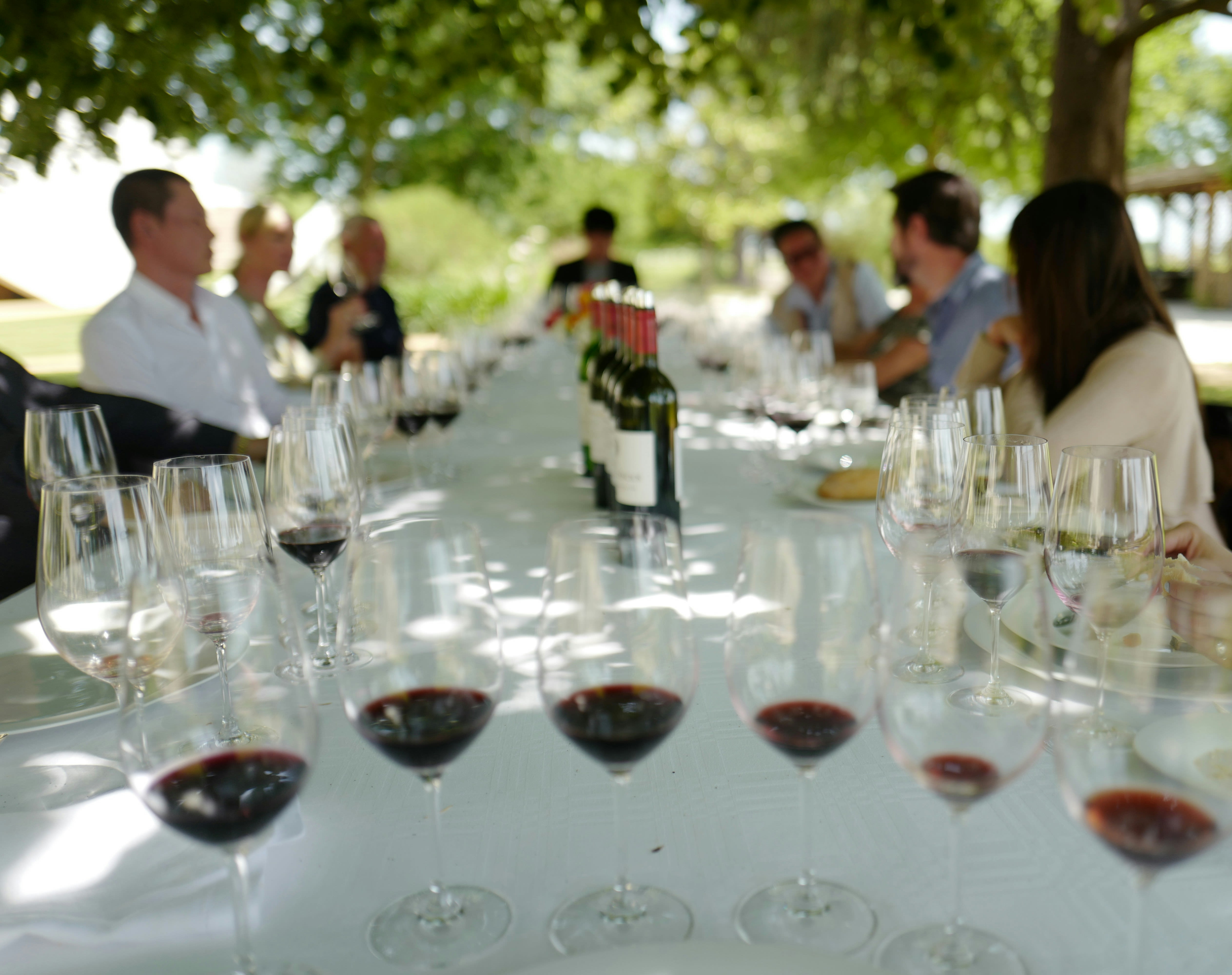 A long outdoor table under trees set for a wine tasting, with glasses of red wine lined up and guests seated along both sides in soft focus.