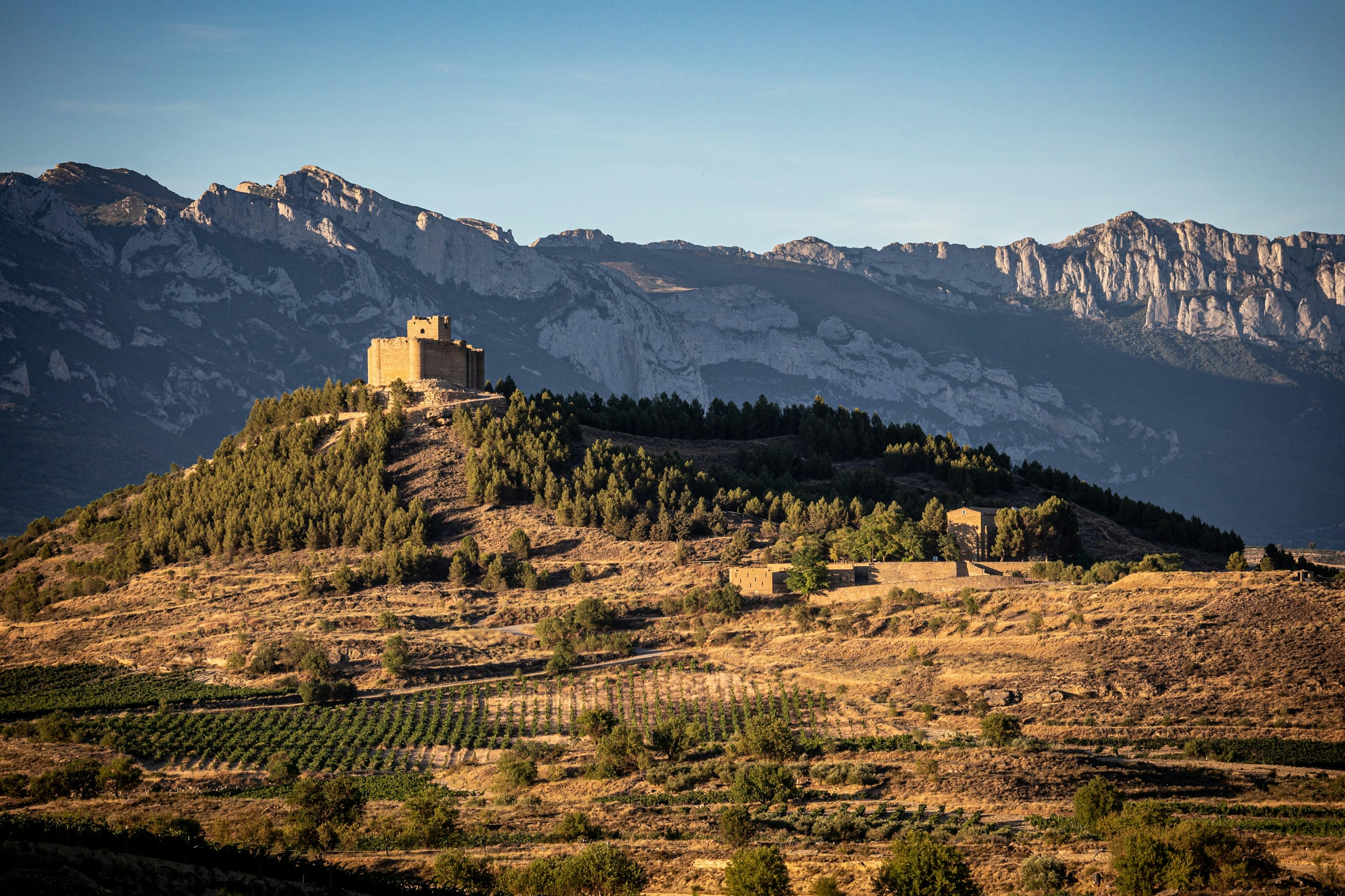 Historic castle ruins perched on a hilltop with vineyards in the foreground and dramatic mountains in the background under a clear sky.