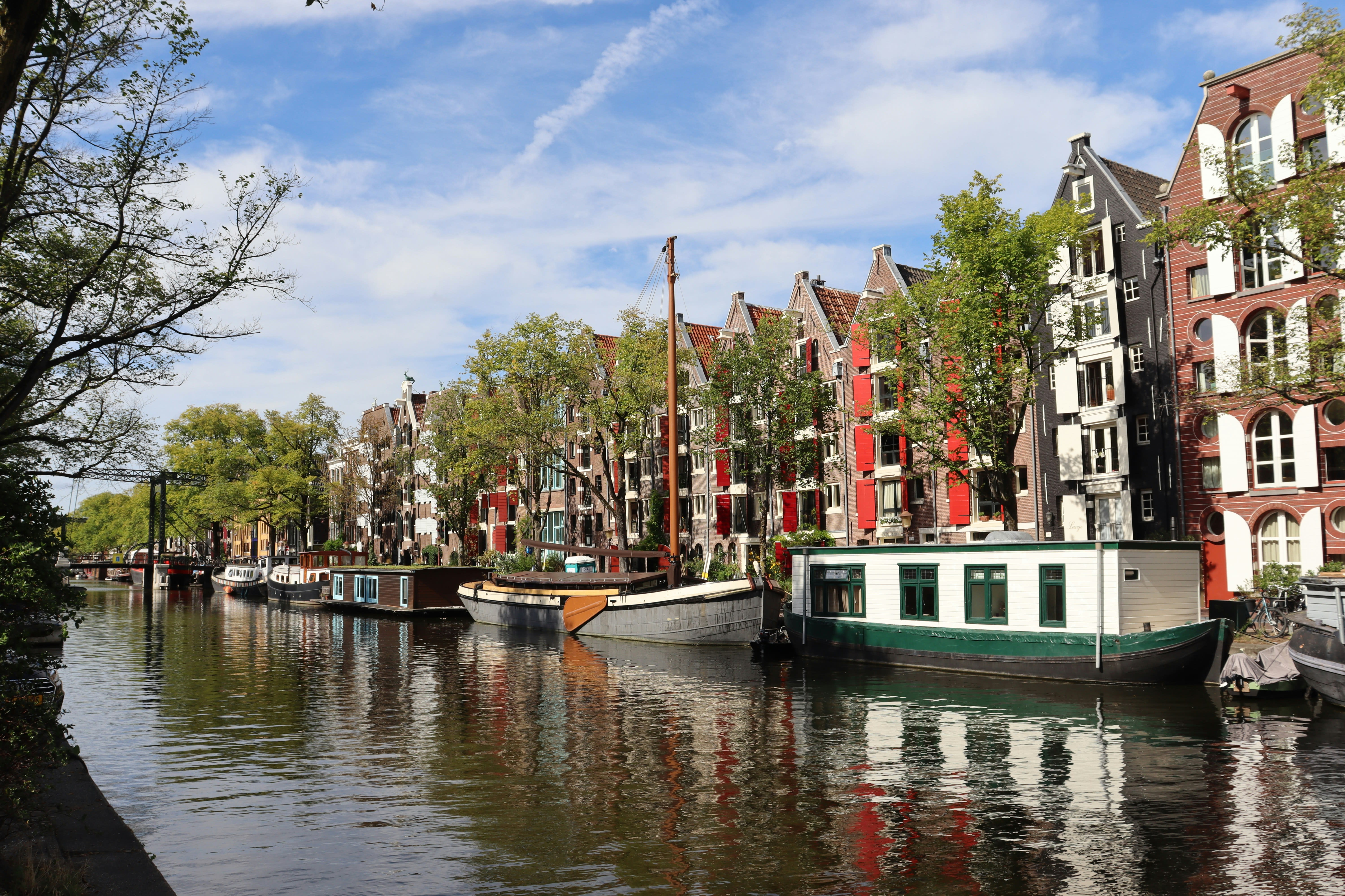 a view of Amsterdam row houses from the canal