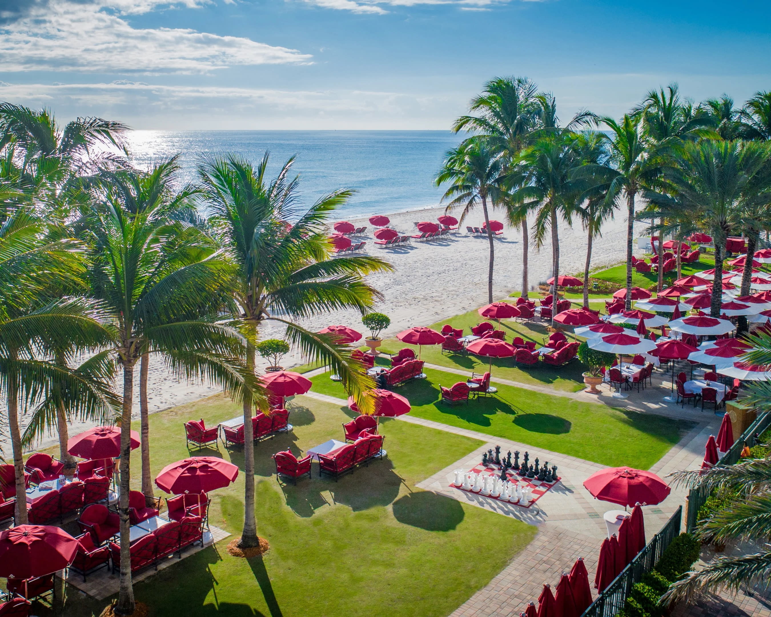 Aerial view of red loungers on green grass and beach with palm trees during day