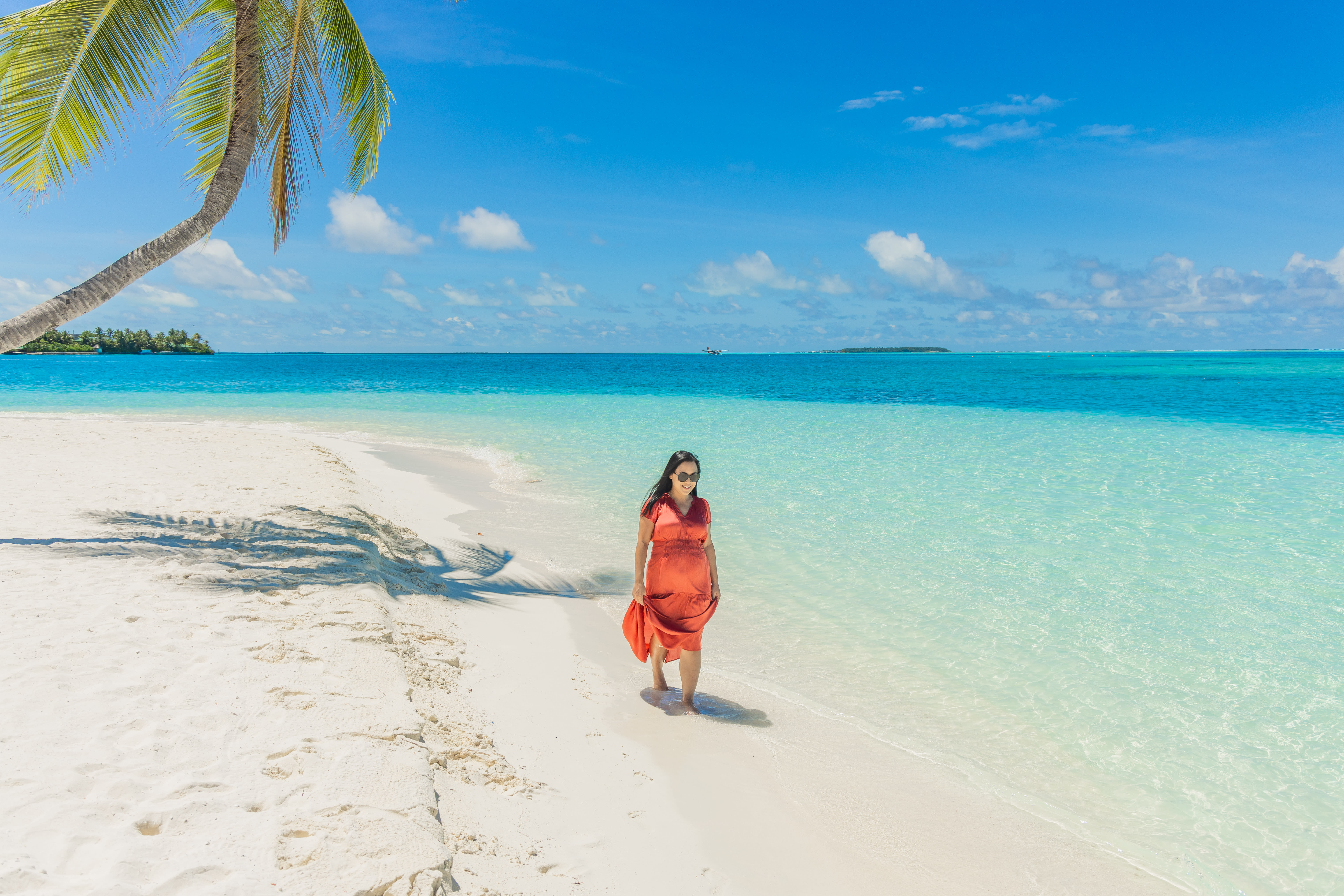 Advisor - Elise Wong