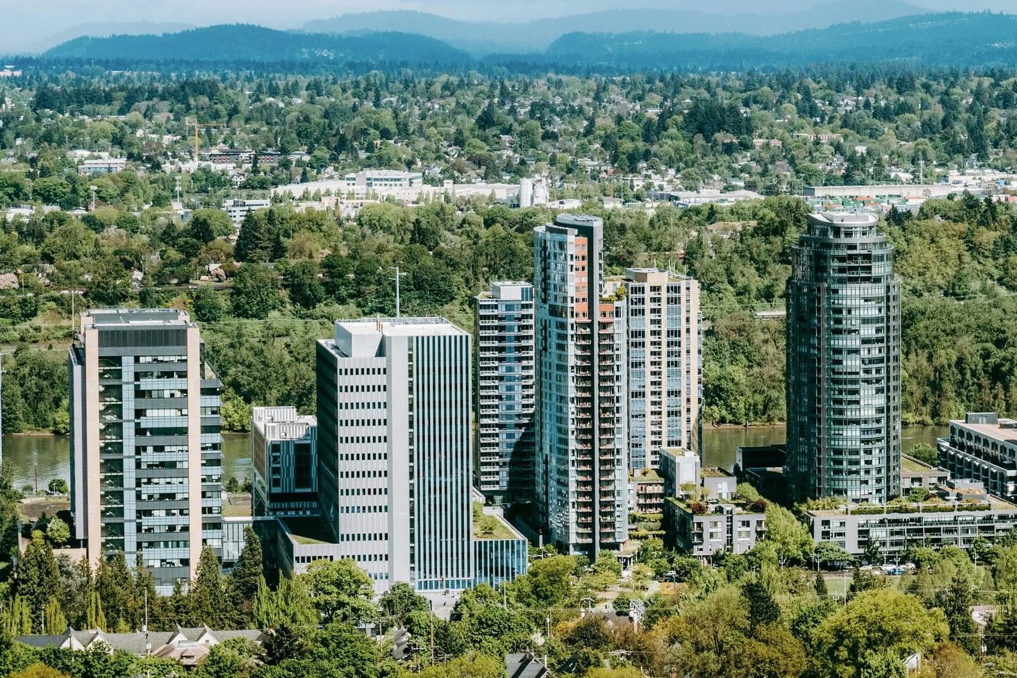 modern skyscrapers in a green tree covered city during day