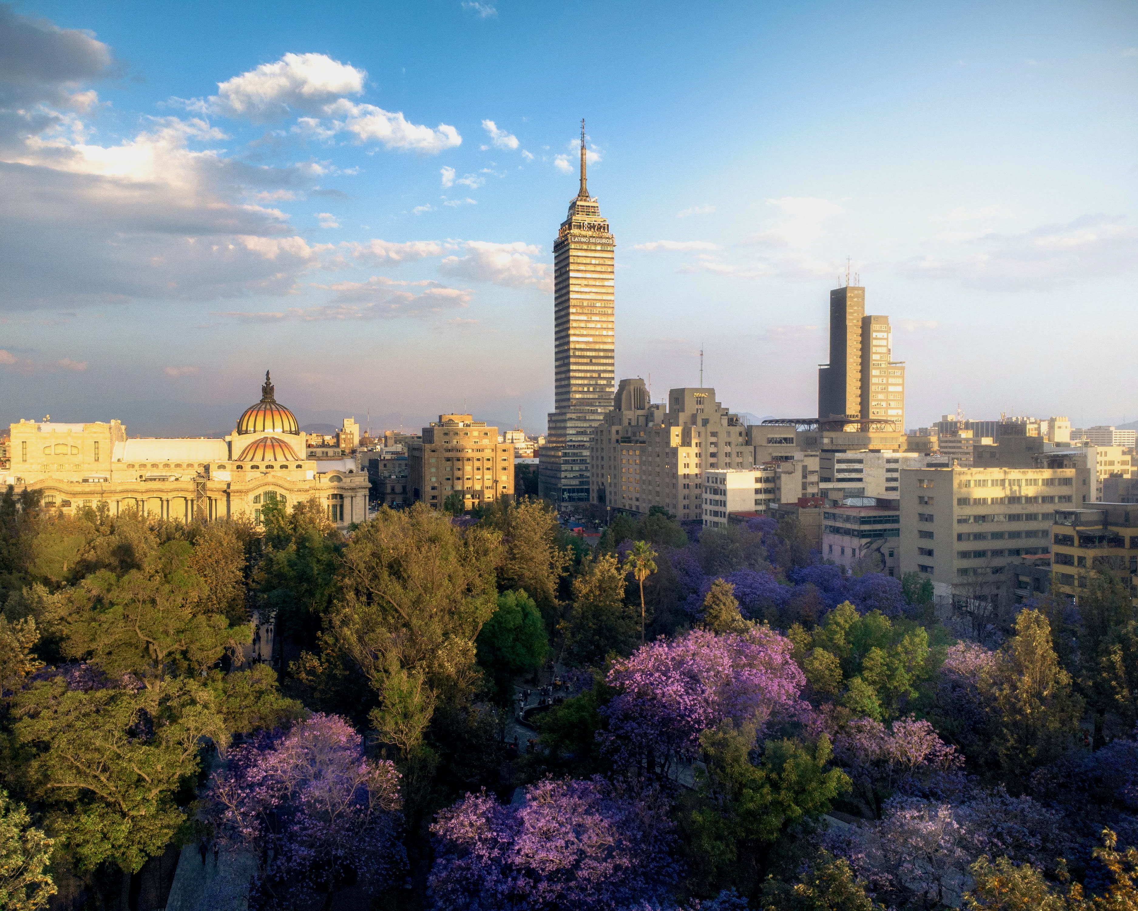 skyscraper and city buildings rising above a city park with purple flowers during day