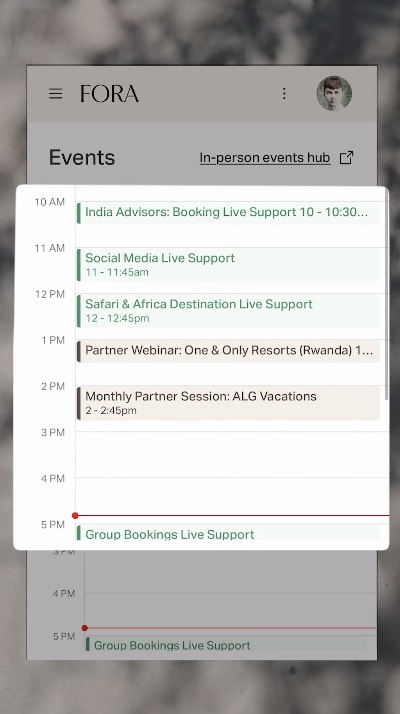 Mobile preview image