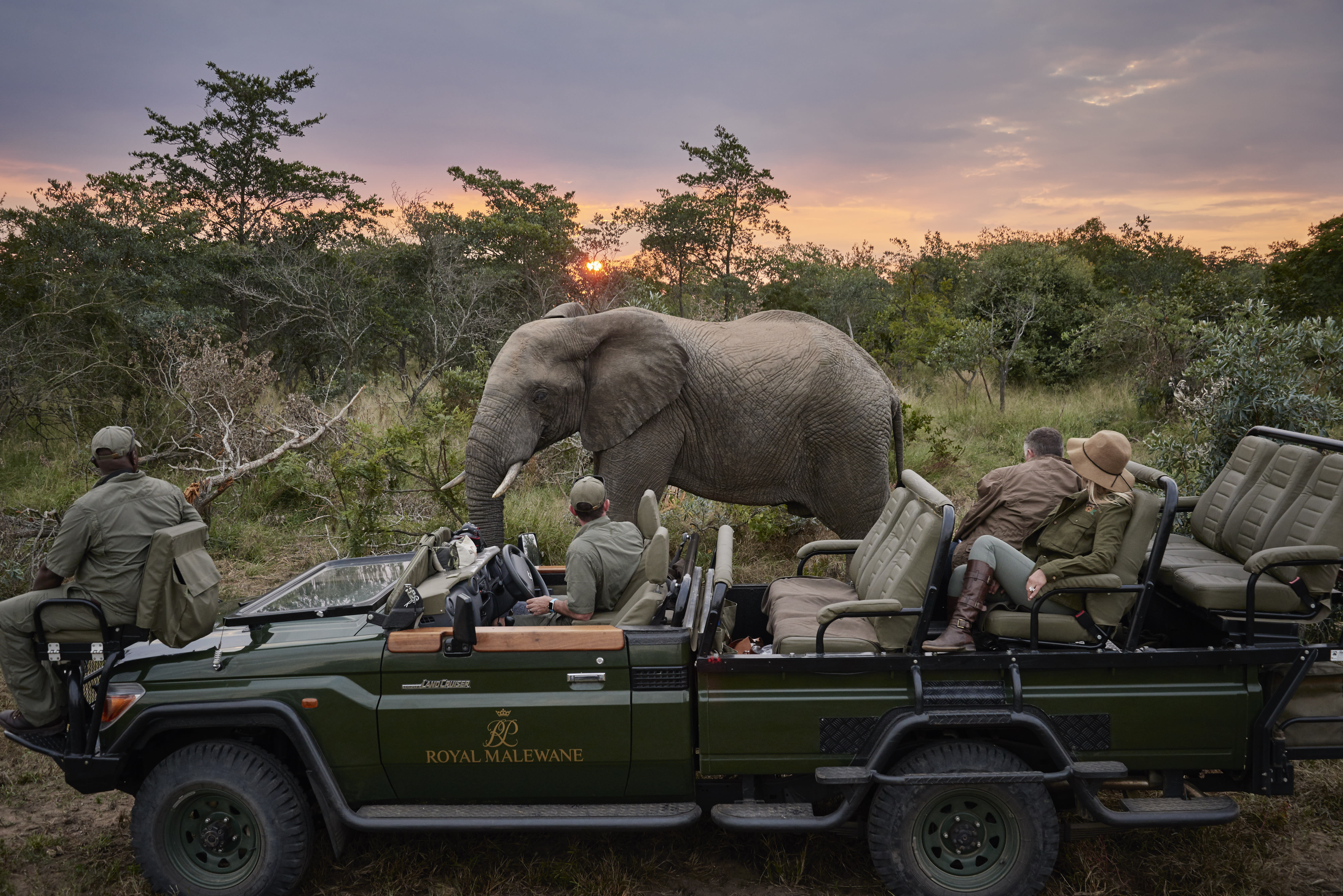 safari vehicle with people looking at a nearby elephant