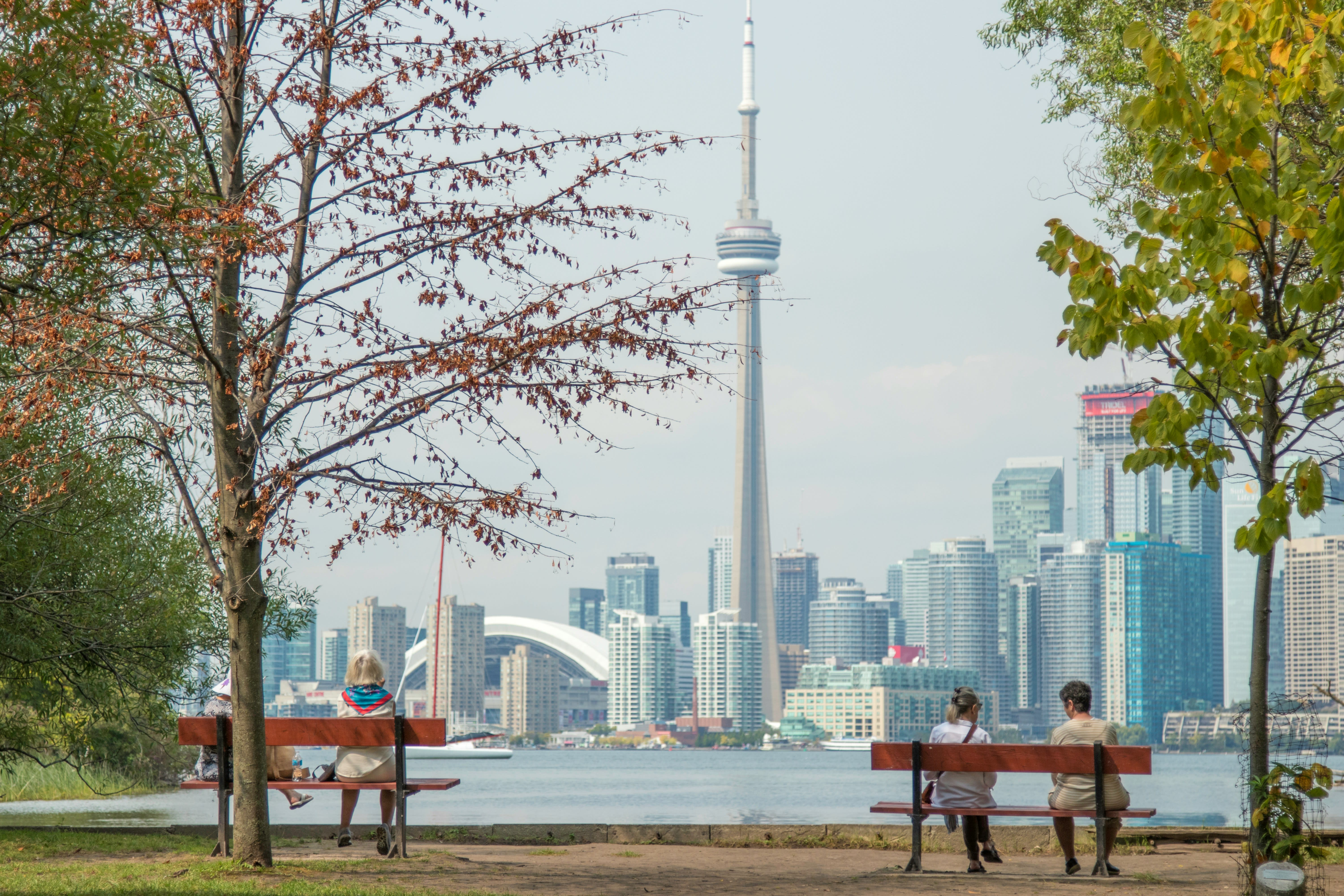iew of Toronto’s skyline from across the water, with the CN Tower rising above modern high-rise buildings. In the foreground, three people sit on benches under autumn and green trees, looking out toward the city.