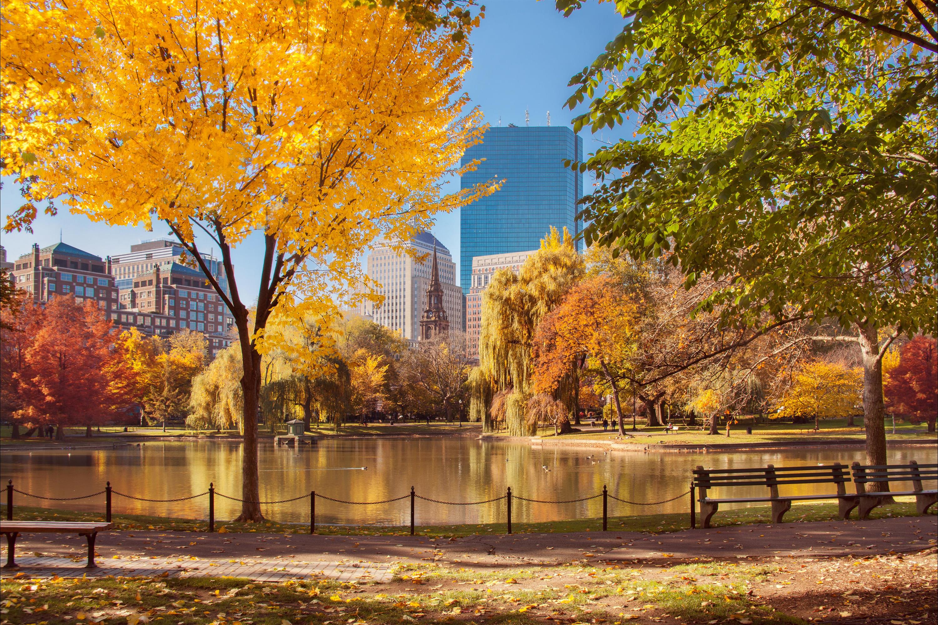 Scenic view of Boston Public Garden in autumn, with vibrant yellow, orange, and green foliage surrounding a calm pond. Benches line the path in the foreground.
