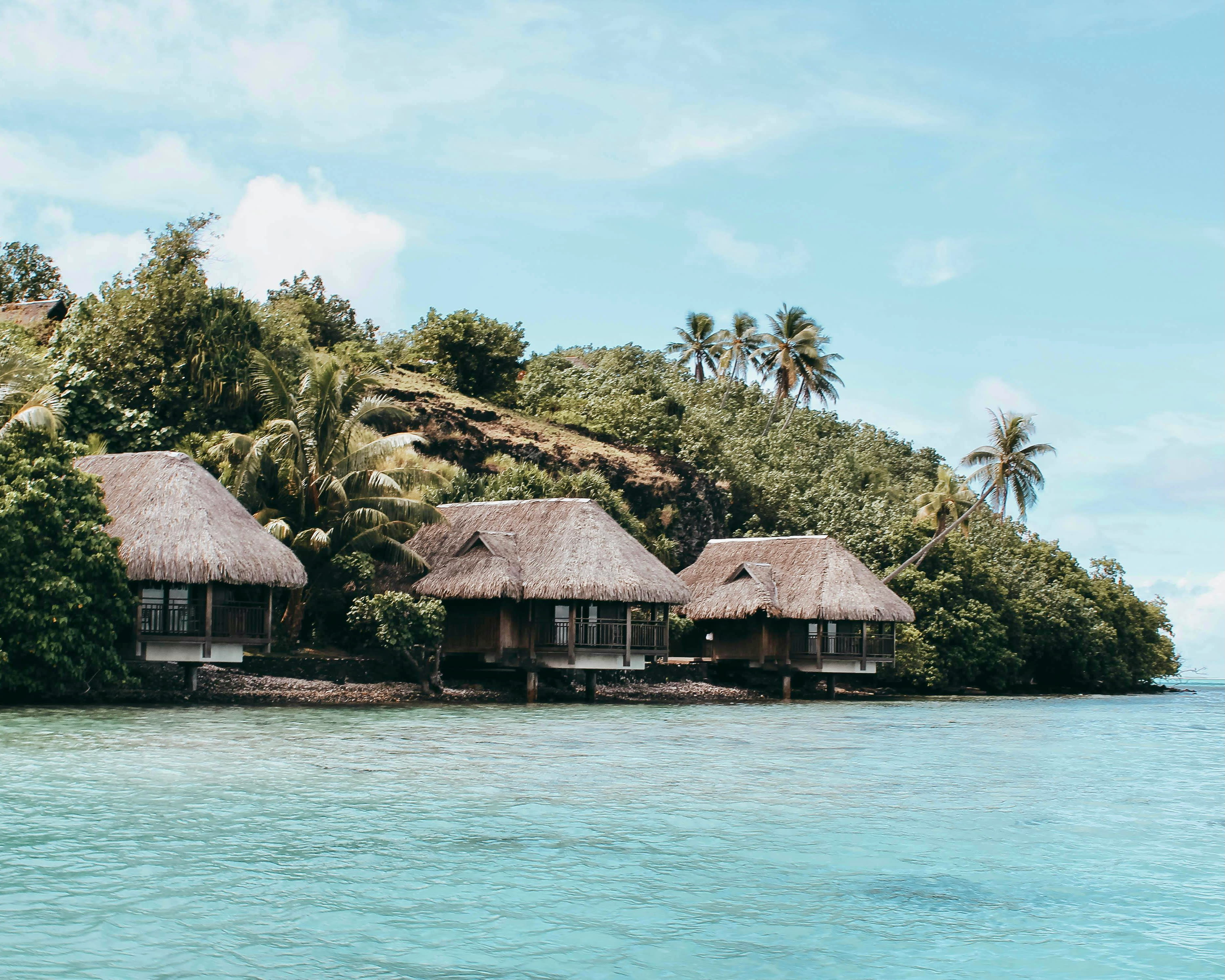tropical huts on the waters edge surrounded by green vegetation and palm trees during day