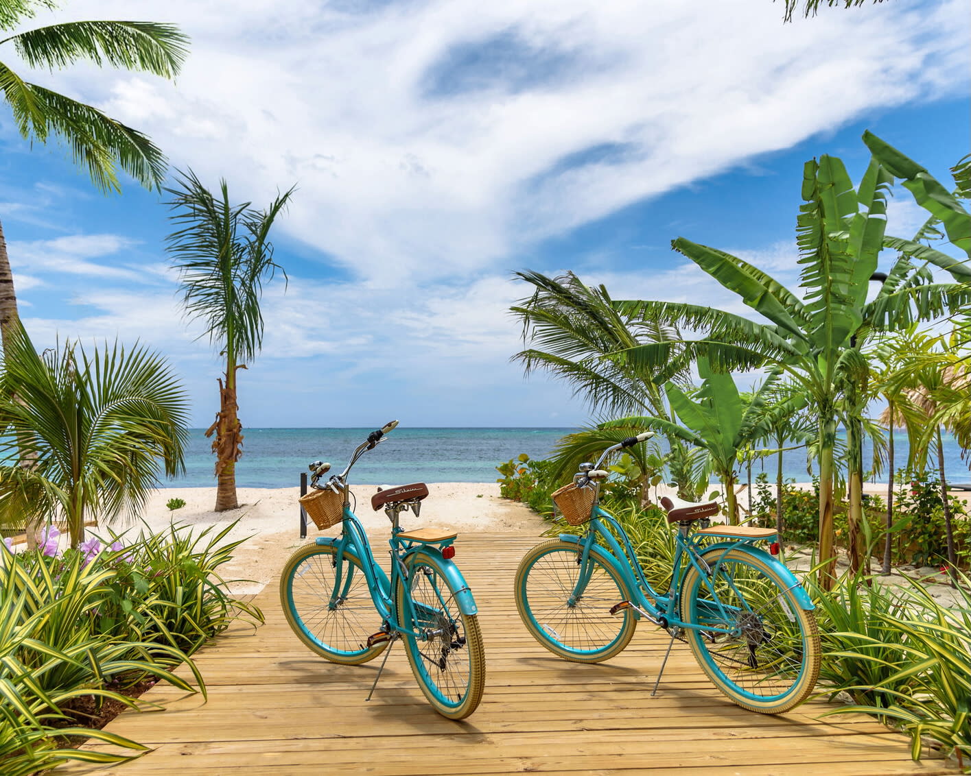 turquoise beachcomber bikes on a wood bike path next to palm lined beach during day