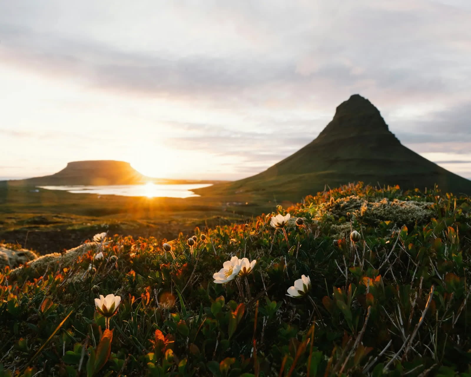 wildflower dotted landscape with green mountains and the sun setting behind them