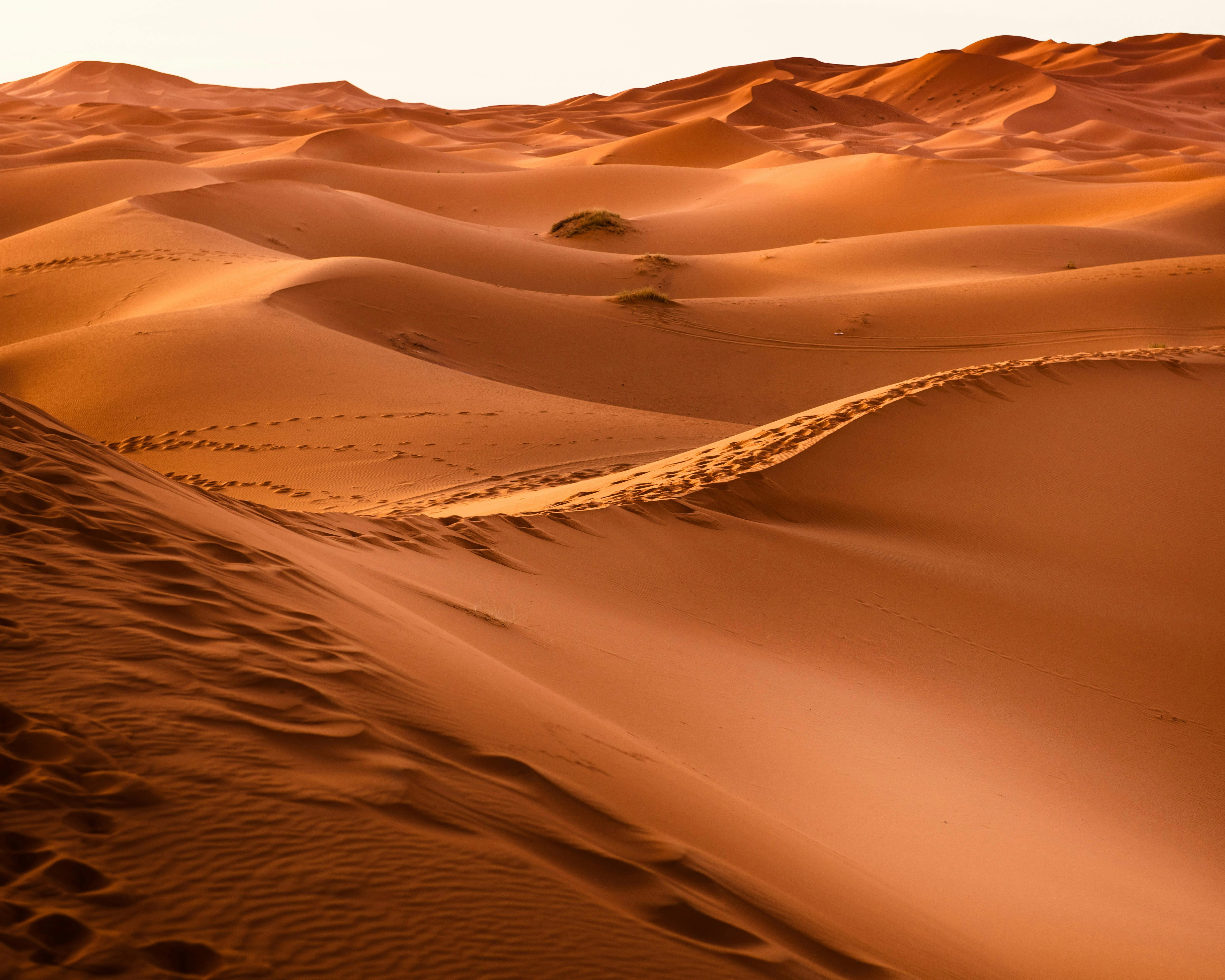 footprints in rolling desert sand dunes during day